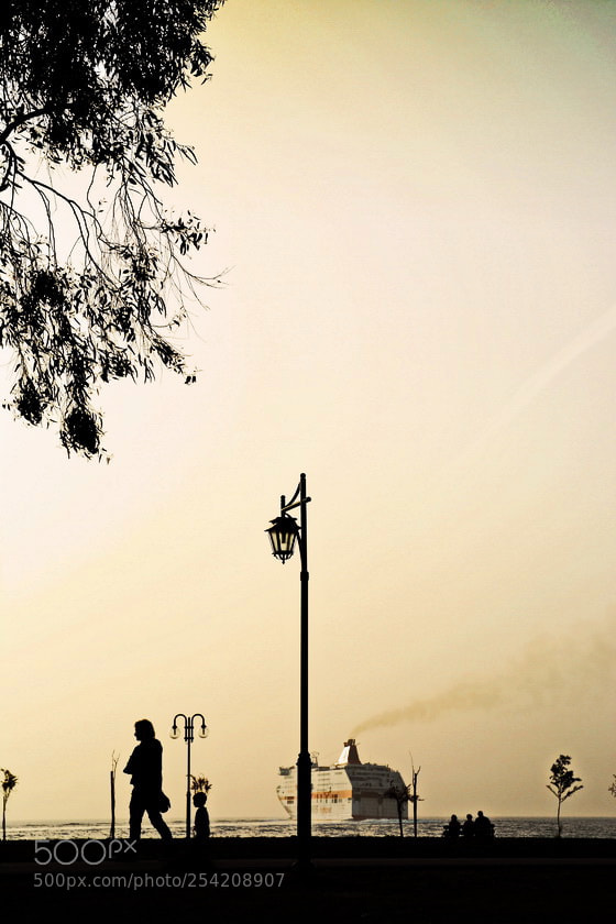 Nikon D7100 sample photo. N...t photography