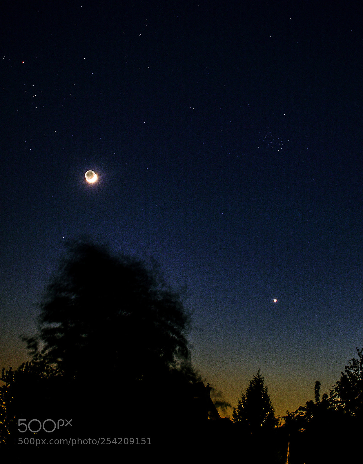 Nikon D3400 sample photo. The moon the venus photography