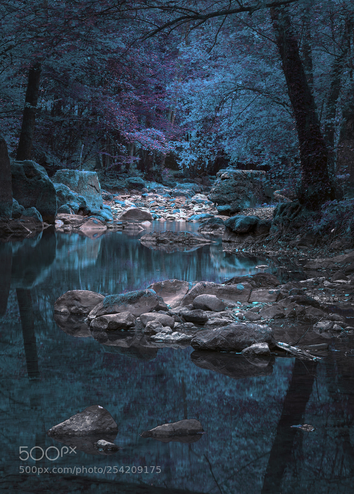 Nikon D610 sample photo. Mountain river photography