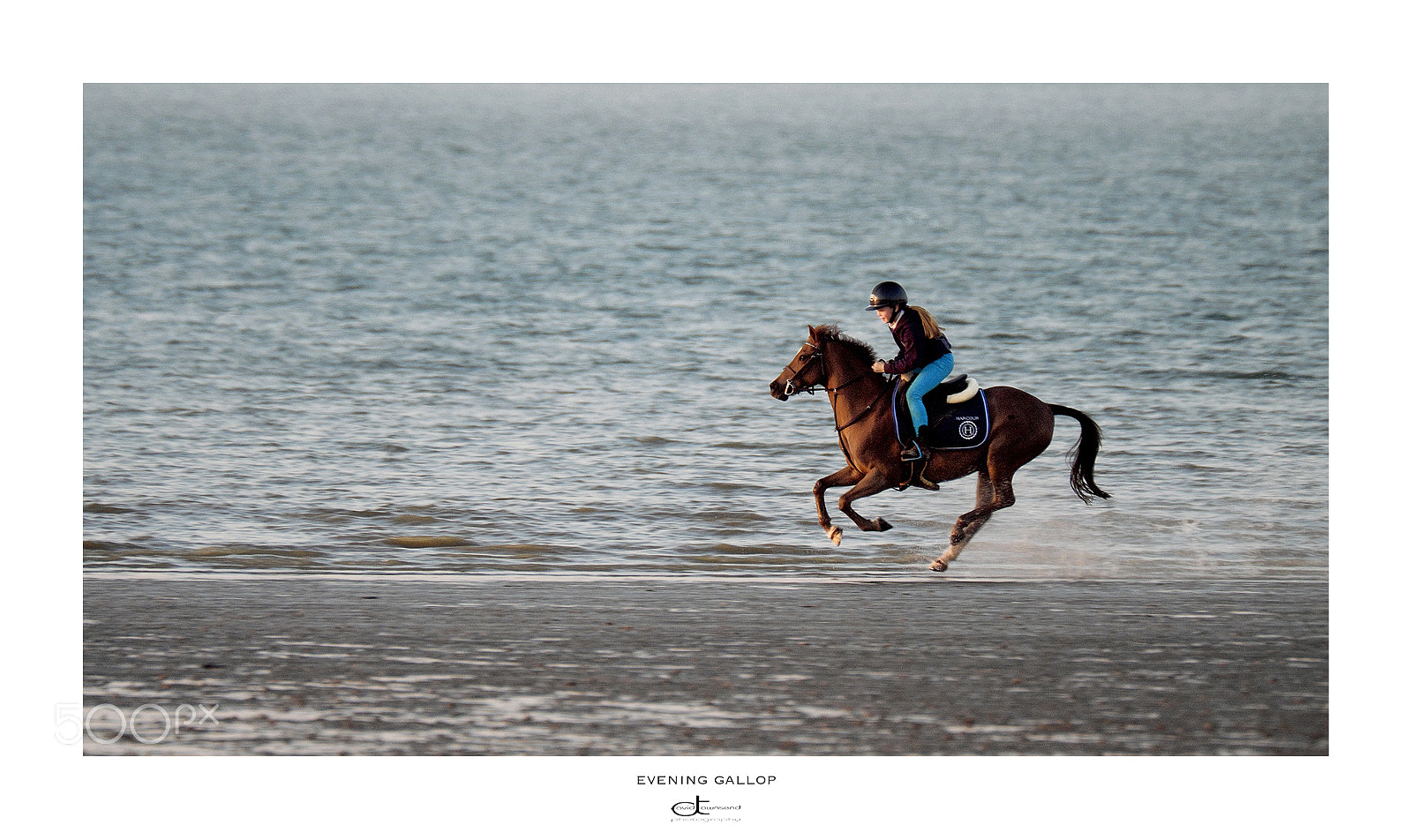Fujifilm X-Pro2 sample photo. Evening gallop photography