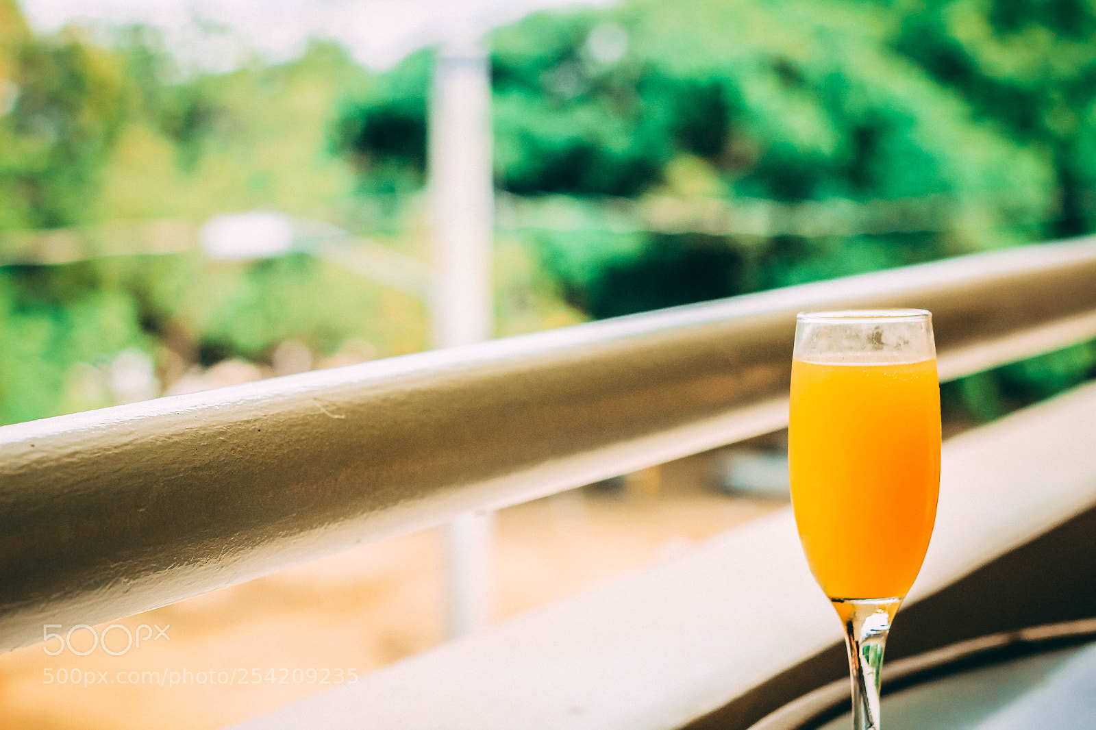 Canon EOS 600D (Rebel EOS T3i / EOS Kiss X5) sample photo. Mimosas in the morning photography