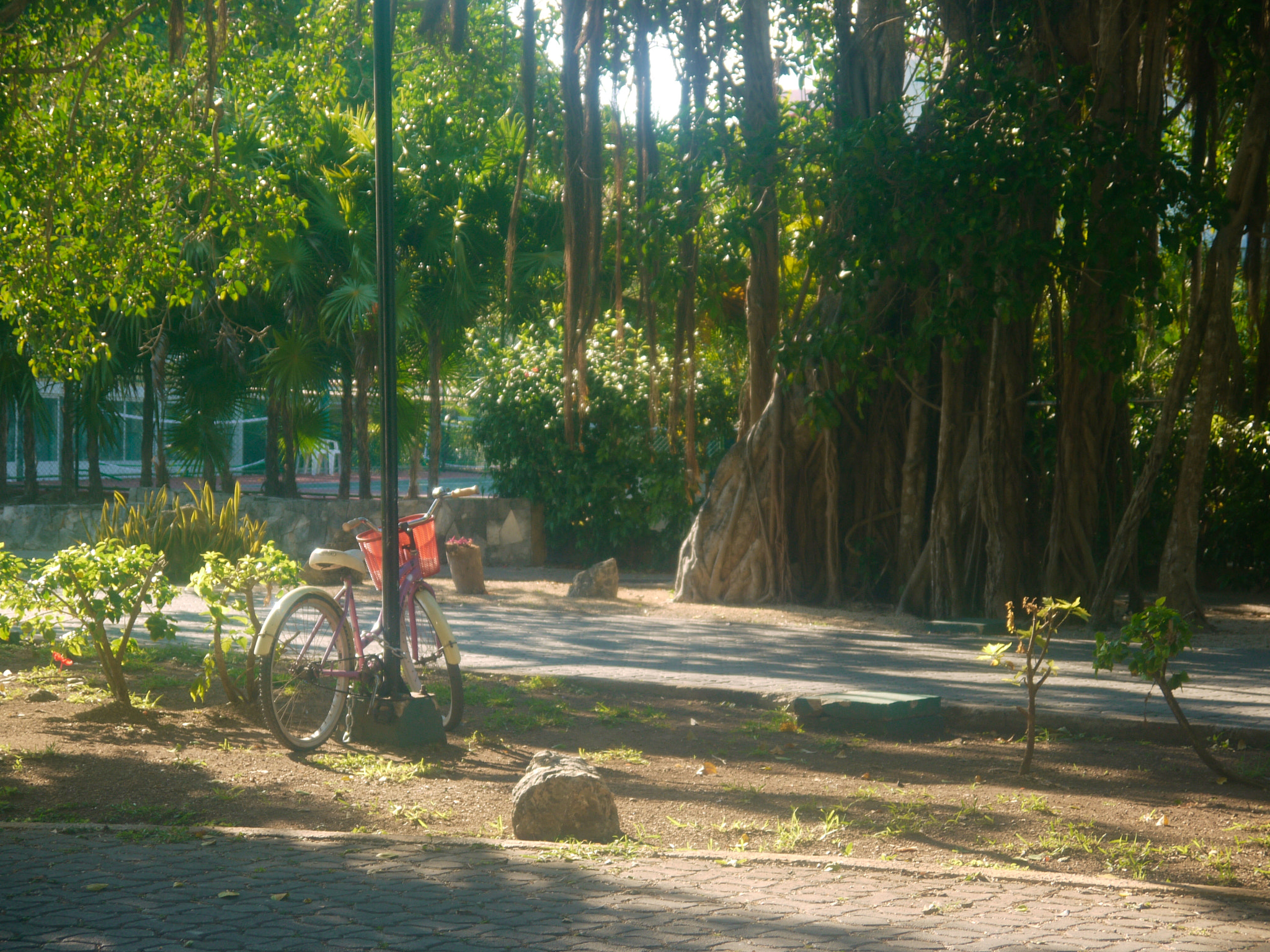 Panasonic Lumix DMC-GF1 sample photo. Bike in waiting photography