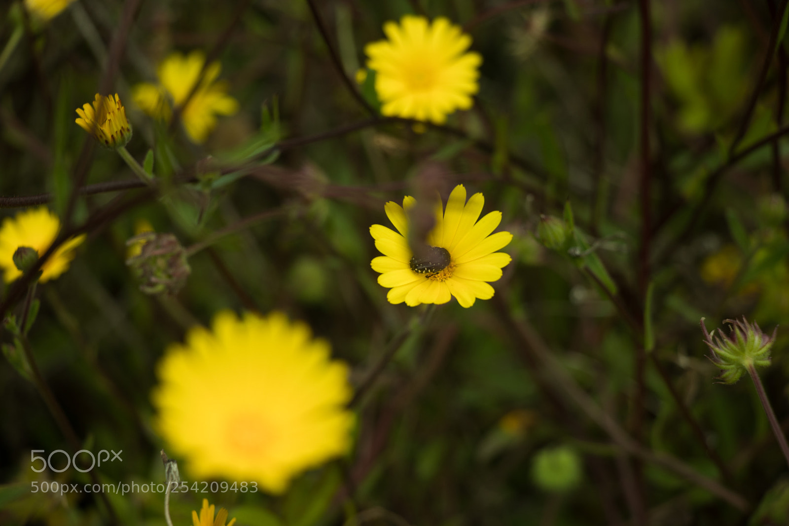 Canon EOS 77D (EOS 9000D / EOS 770D) sample photo. Untitled photography