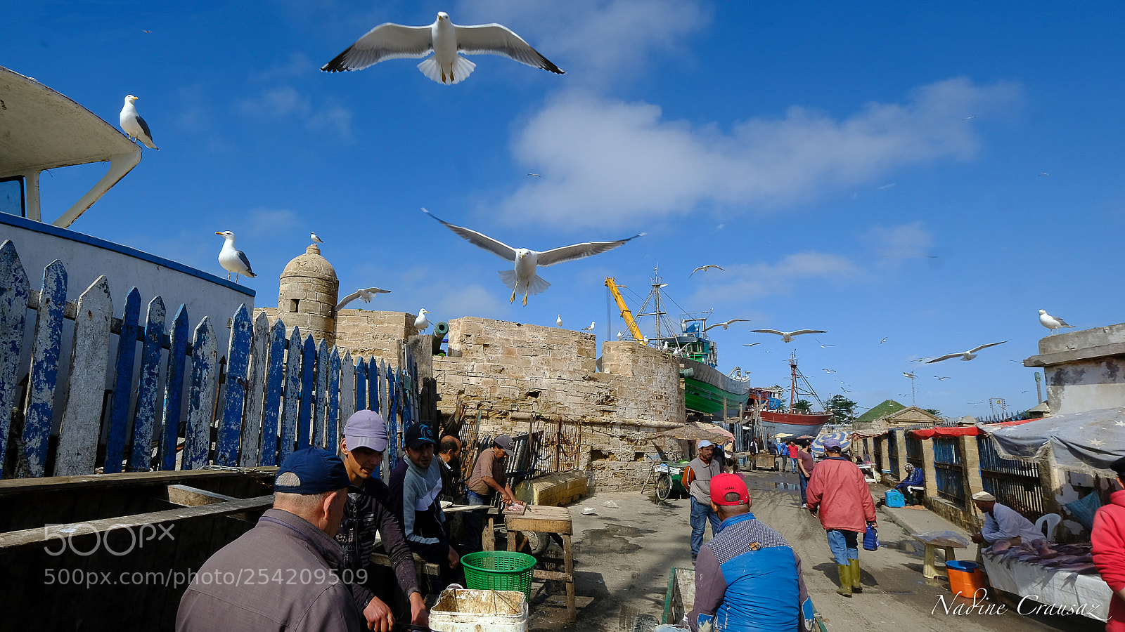 Fujifilm X-T2 sample photo. Untitled photography