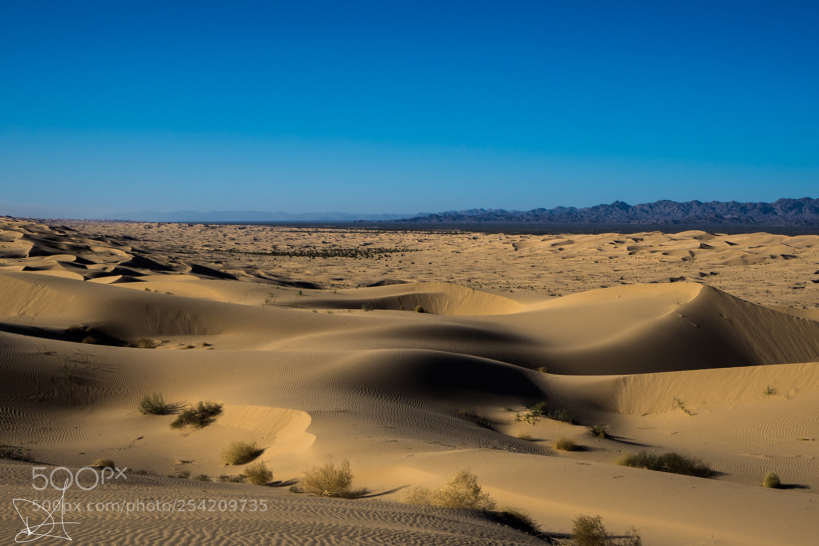 Sony a7 II sample photo. Barren photography