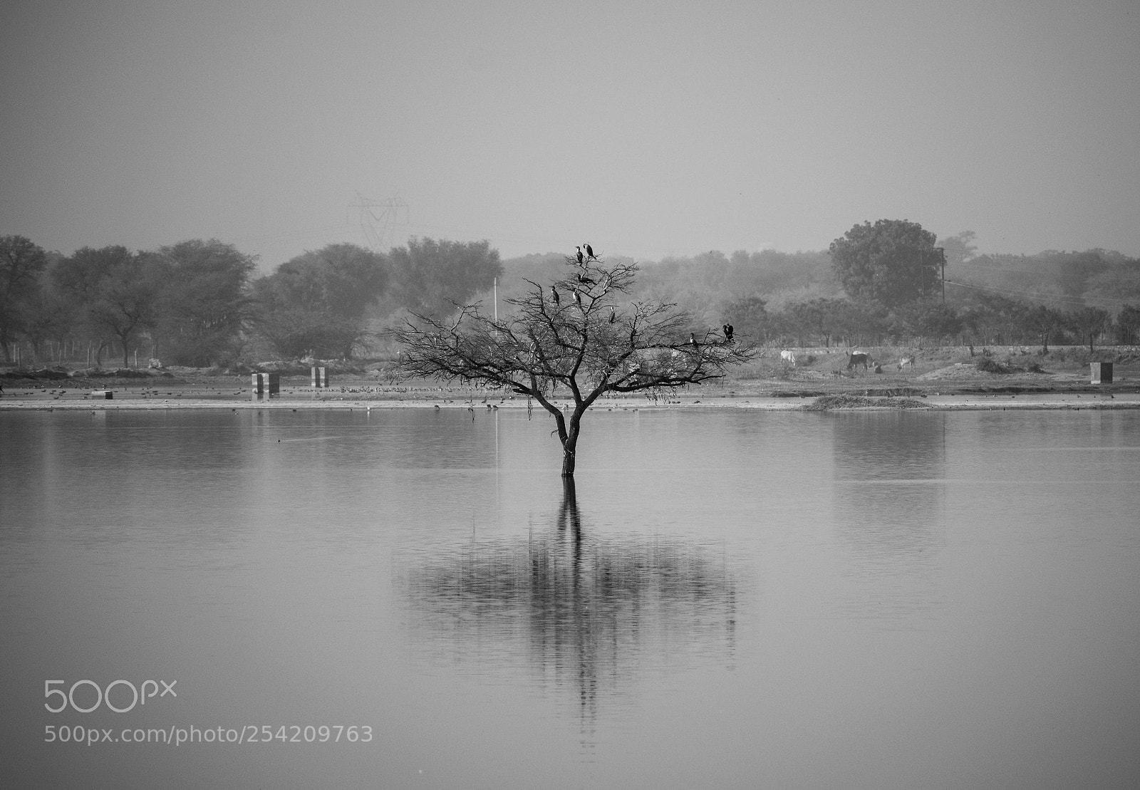 Nikon D5300 sample photo. Alone photography