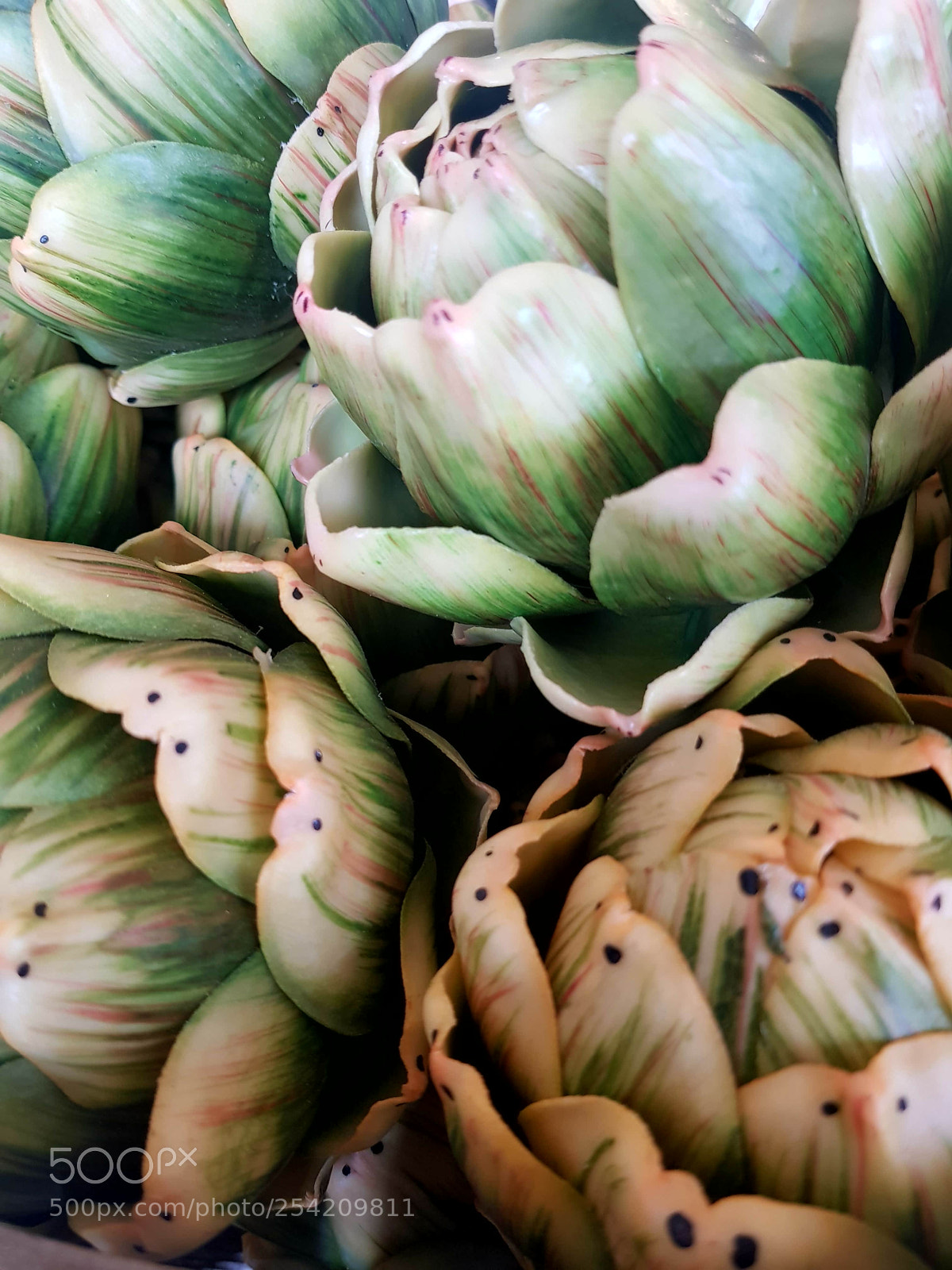 Samsung Galaxy S8 sample photo. Artichokes photography