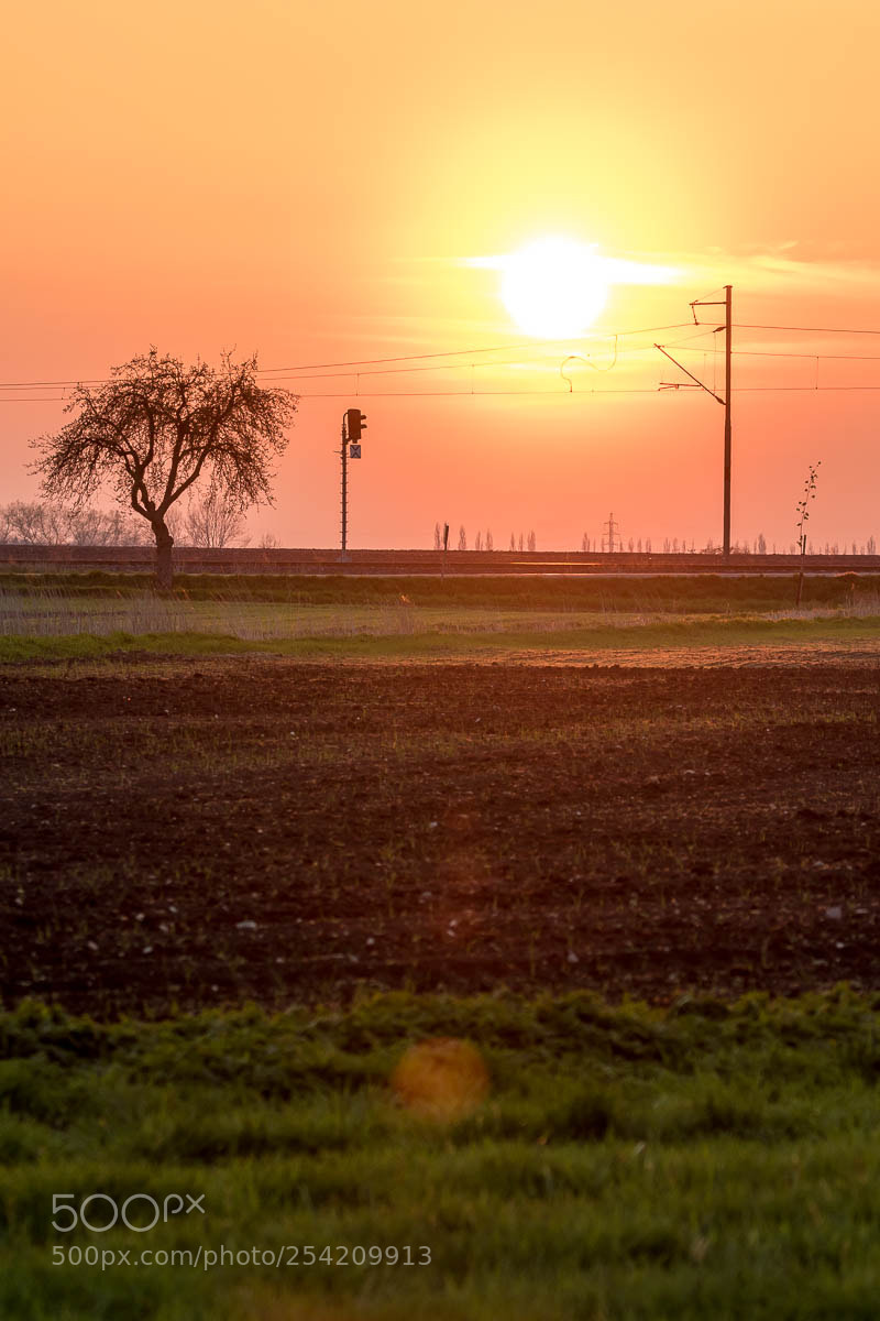 Canon EOS 7D Mark II sample photo. Sunset in Žehuň photography