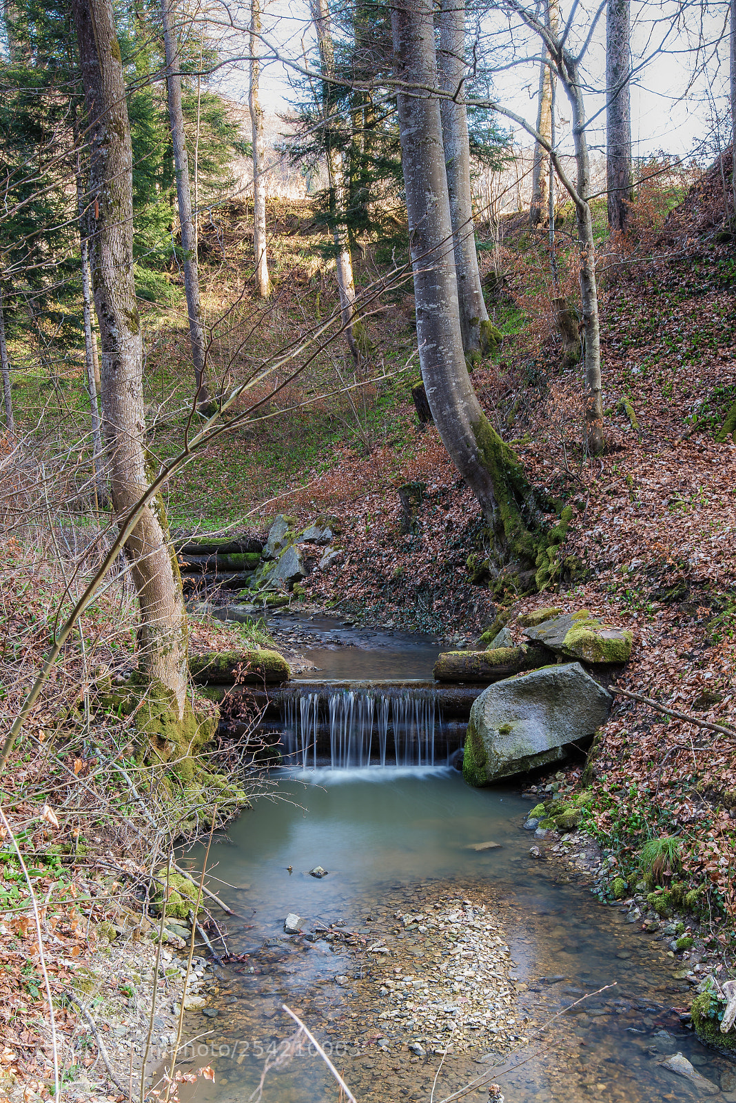 Nikon D610 sample photo. Wasser photography