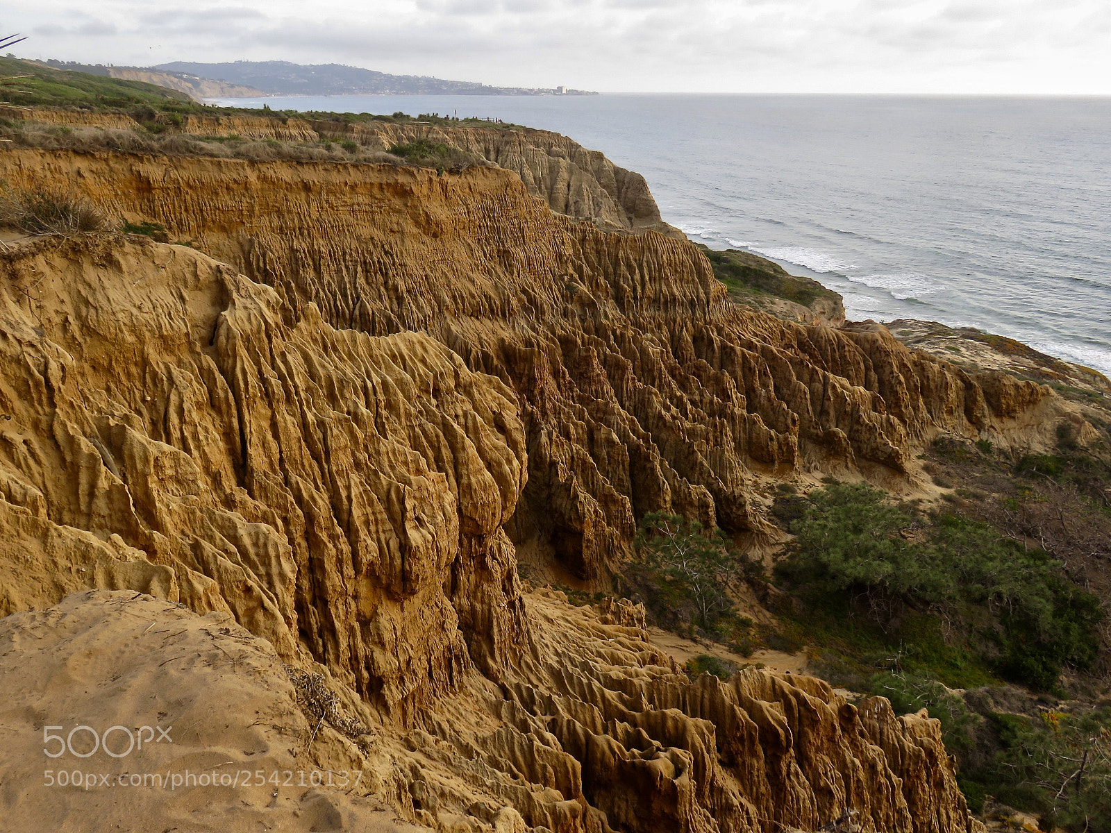 Canon PowerShot SX710 HS sample photo. Torrey pines rock formations photography