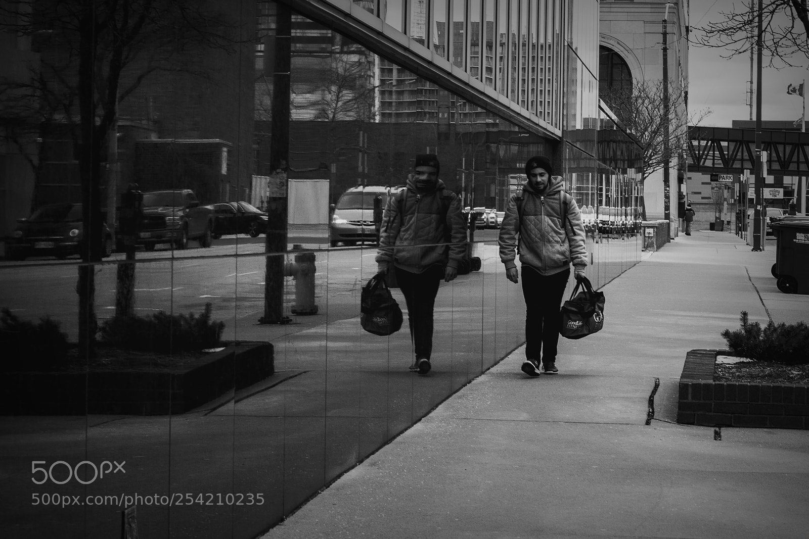 Nikon D500 sample photo. Beside one's self. windsor photography