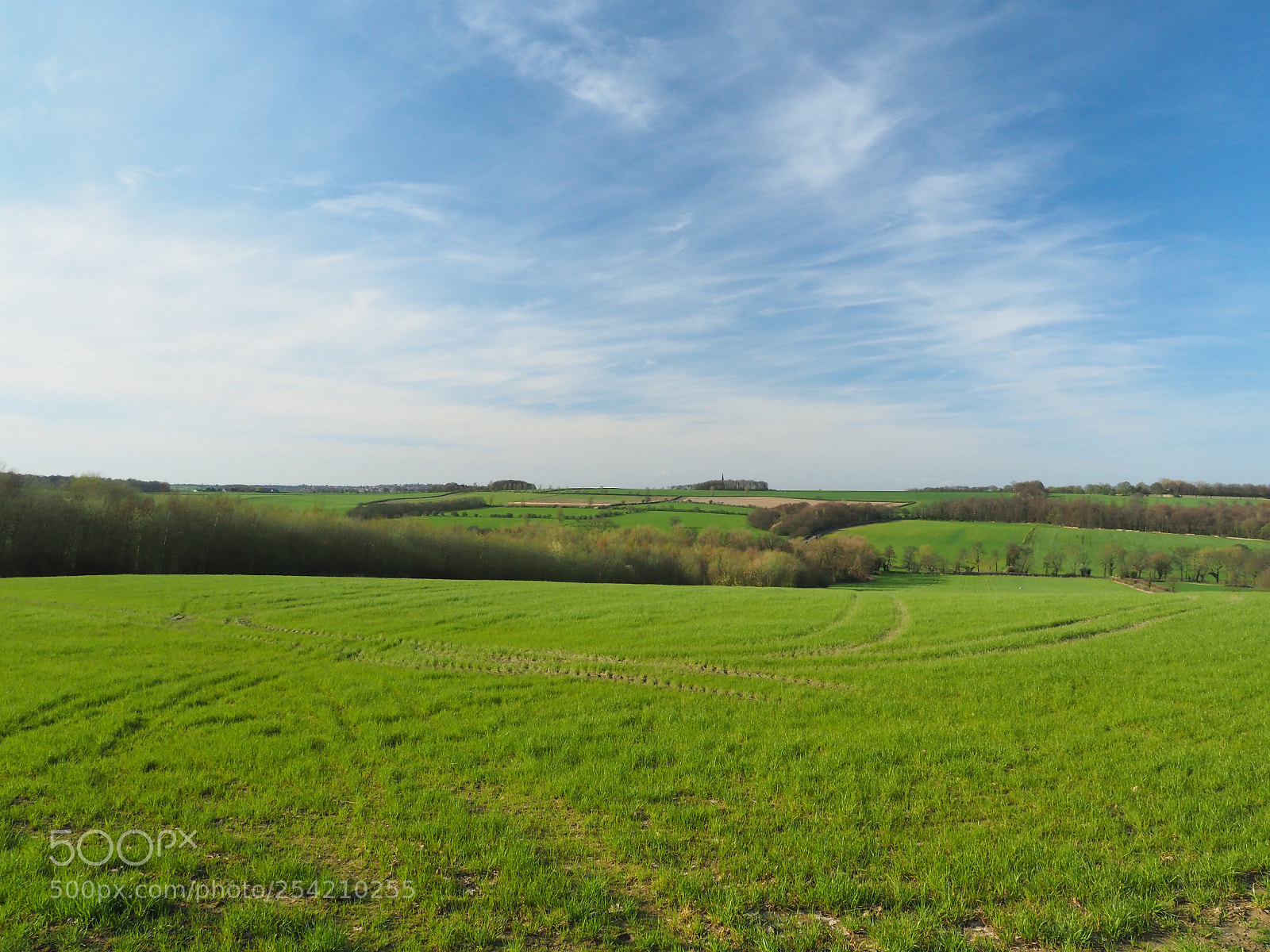 Olympus PEN-F sample photo. Yorkshire countryside photography