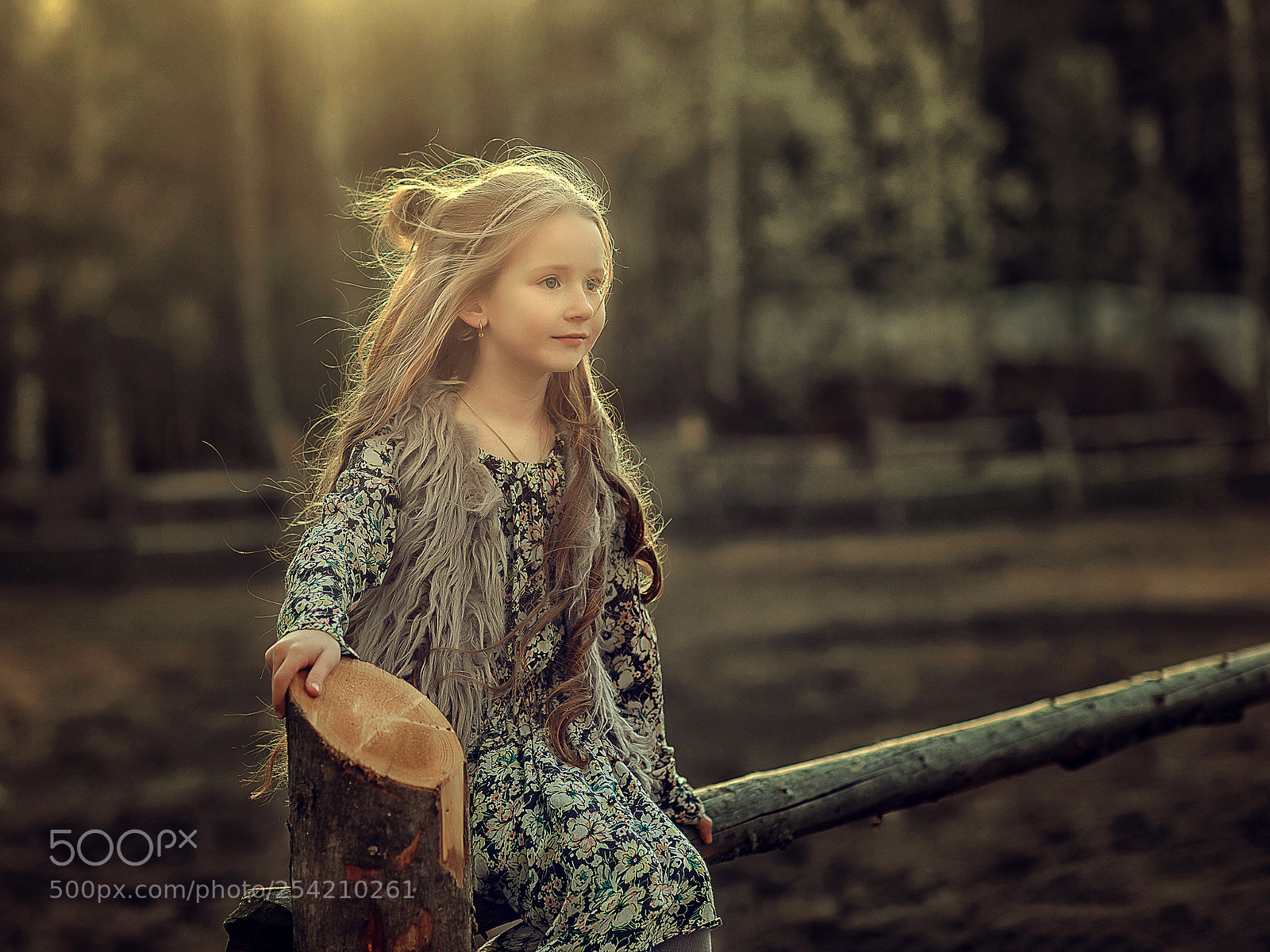 Nikon D610 sample photo. Закат photography