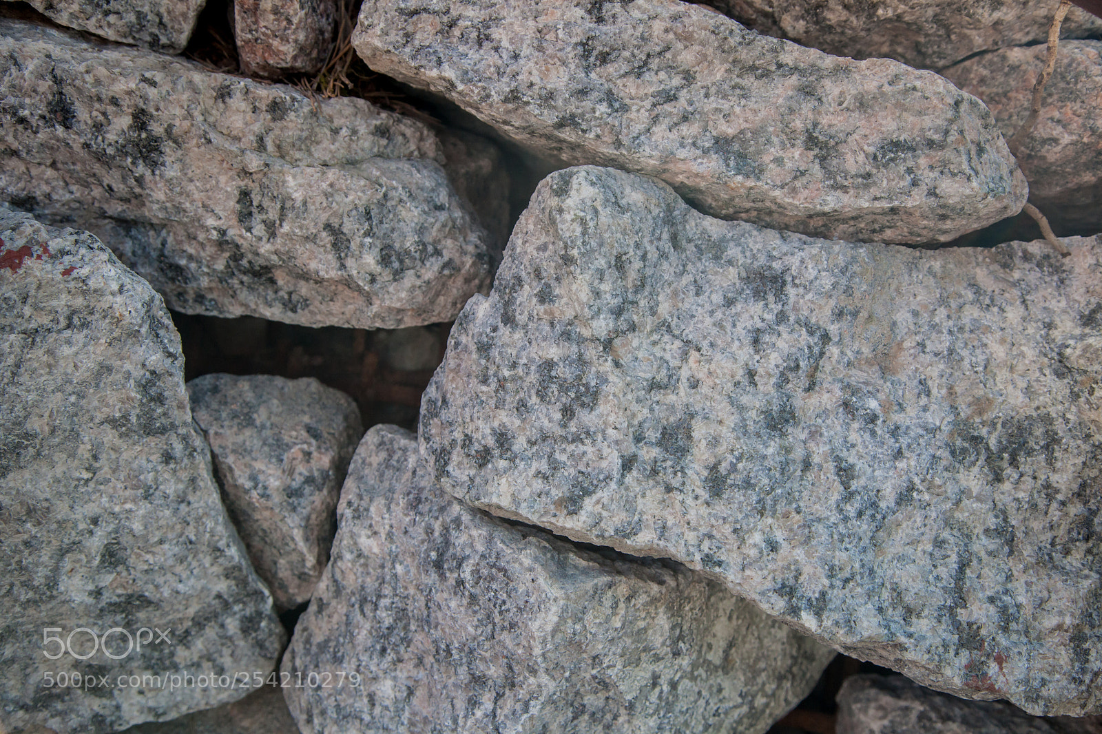 Canon EOS 5D Mark II sample photo. The texture of natural photography
