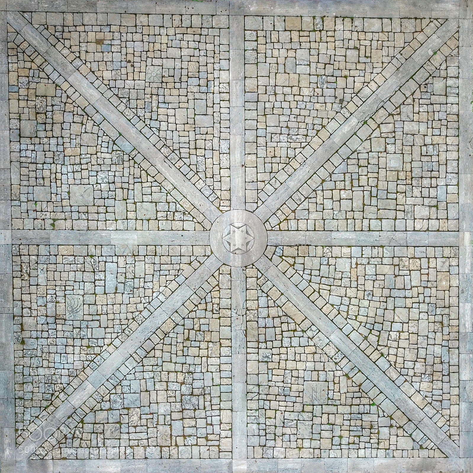 DJI FC220 sample photo. Aerial symmetry  photography