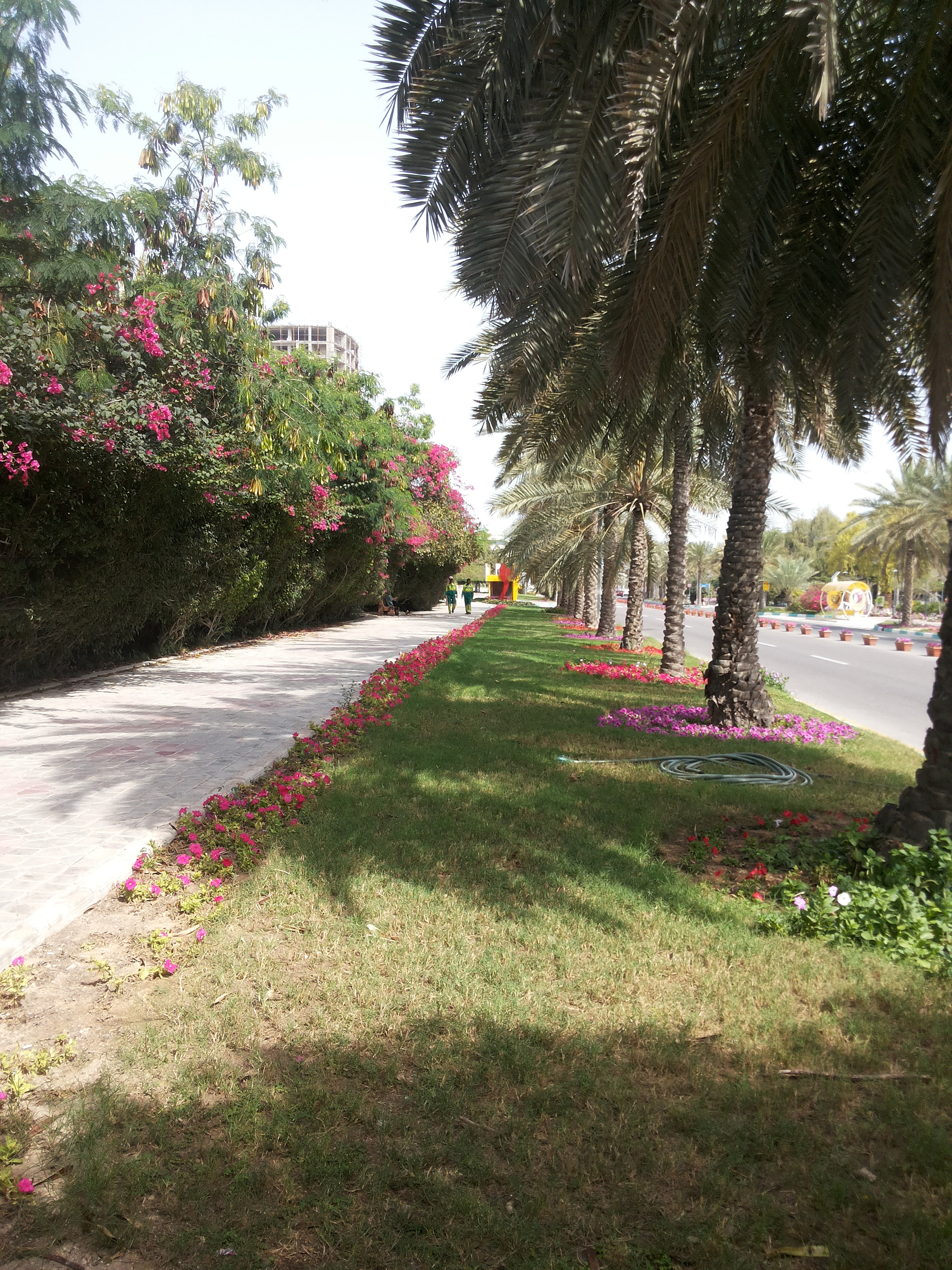 Samsung Galaxy Grand Duos sample photo. Kish photography
