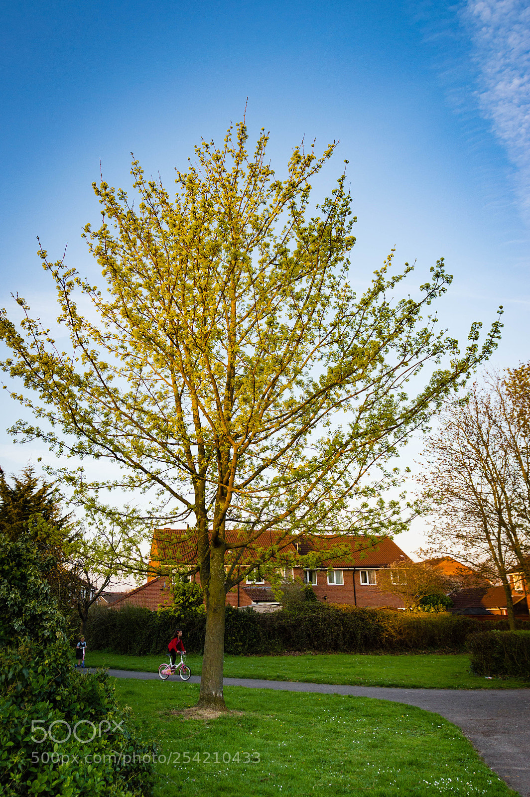Nikon D3200 sample photo. Spring evening... photography