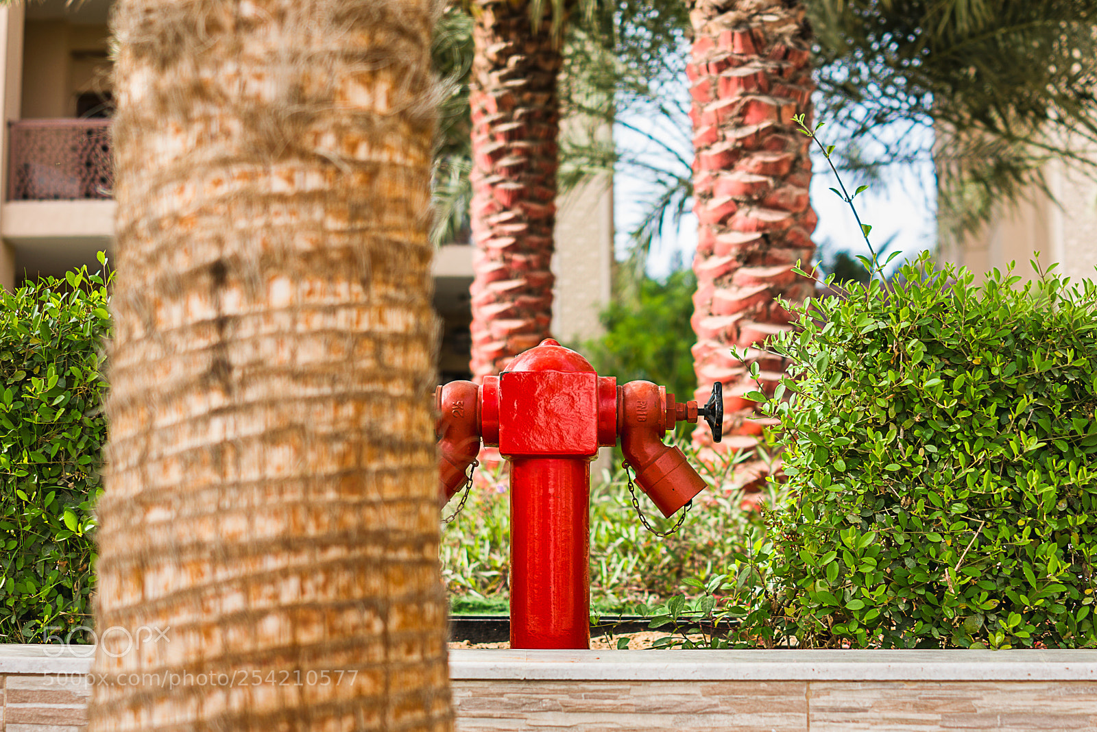 Sony Cyber-shot DSC-RX1R II sample photo. The red hydrant photography