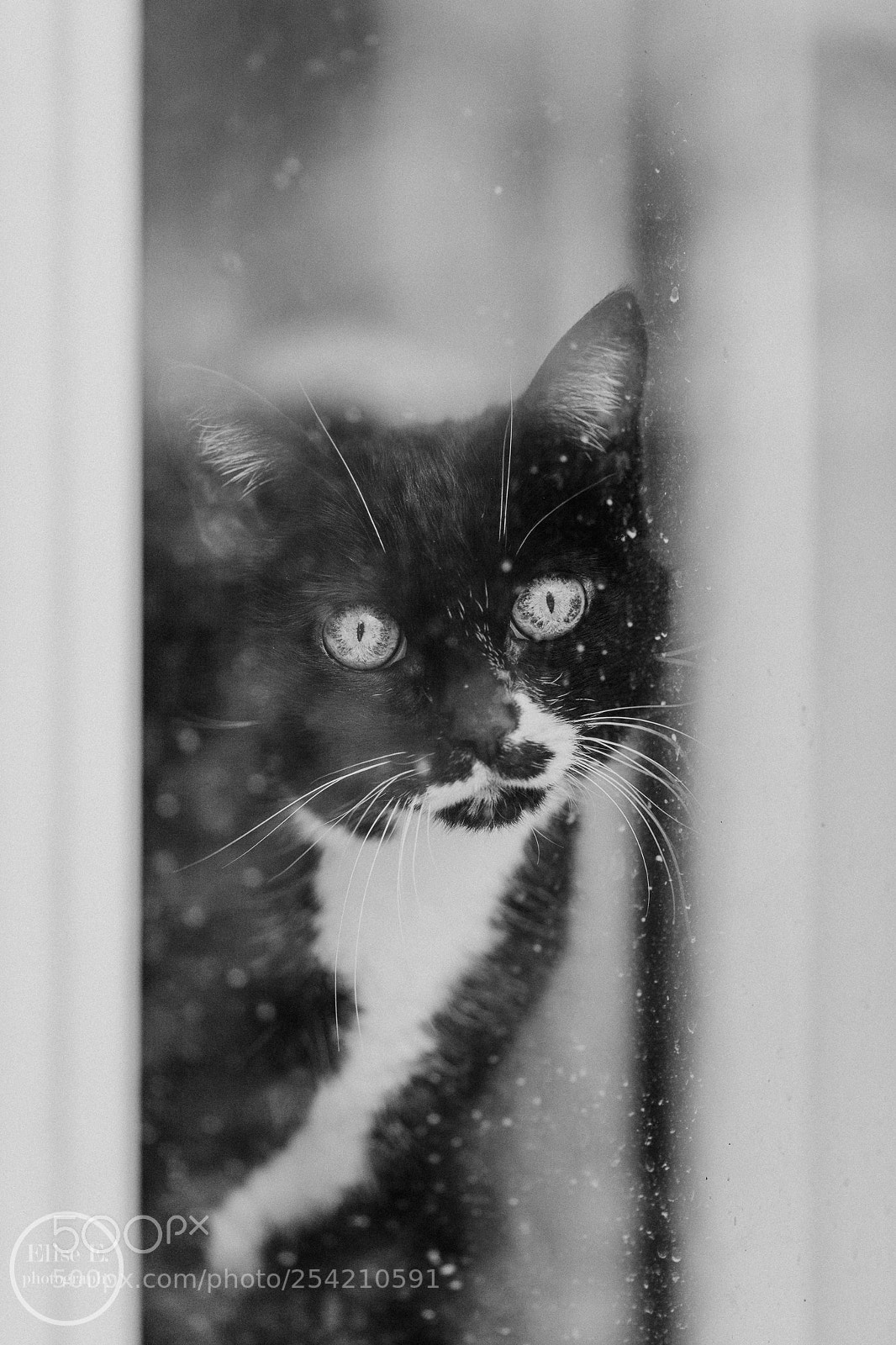 Canon EOS 6D Mark II sample photo. Waiting photography