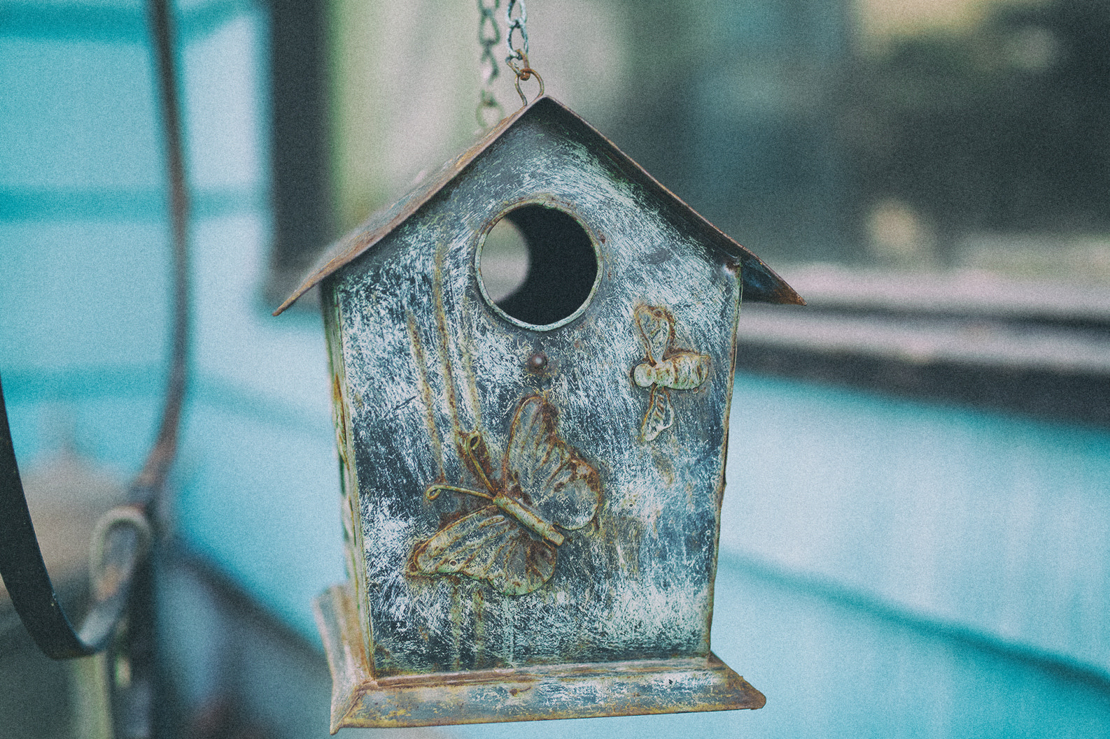 Sigma sd Quattro H sample photo. Bird house photography