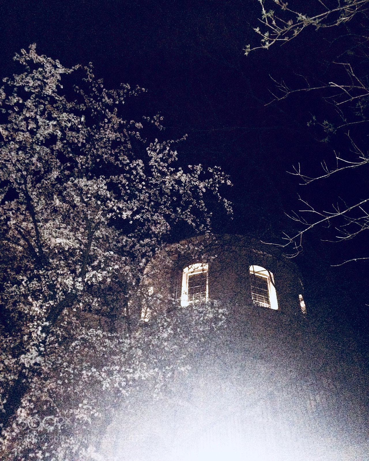Apple iPhone 5s sample photo. Untitled photography