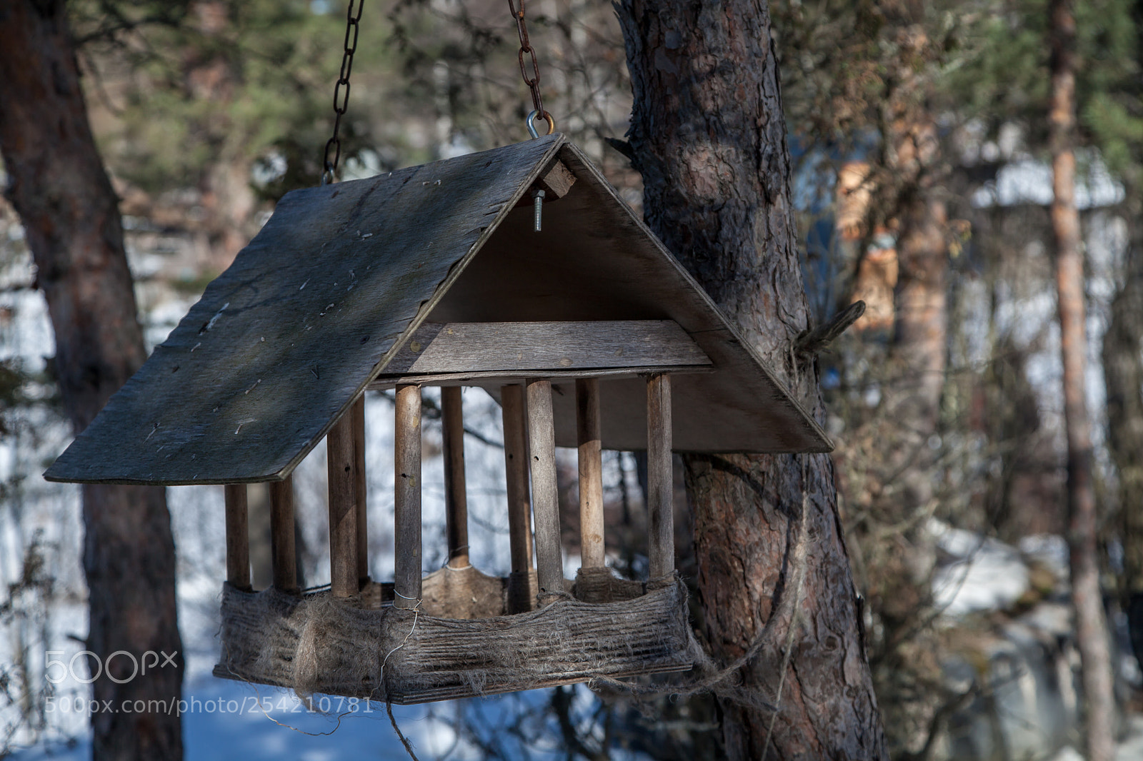 Canon EOS 5D Mark II sample photo. Wooden house for feeding photography