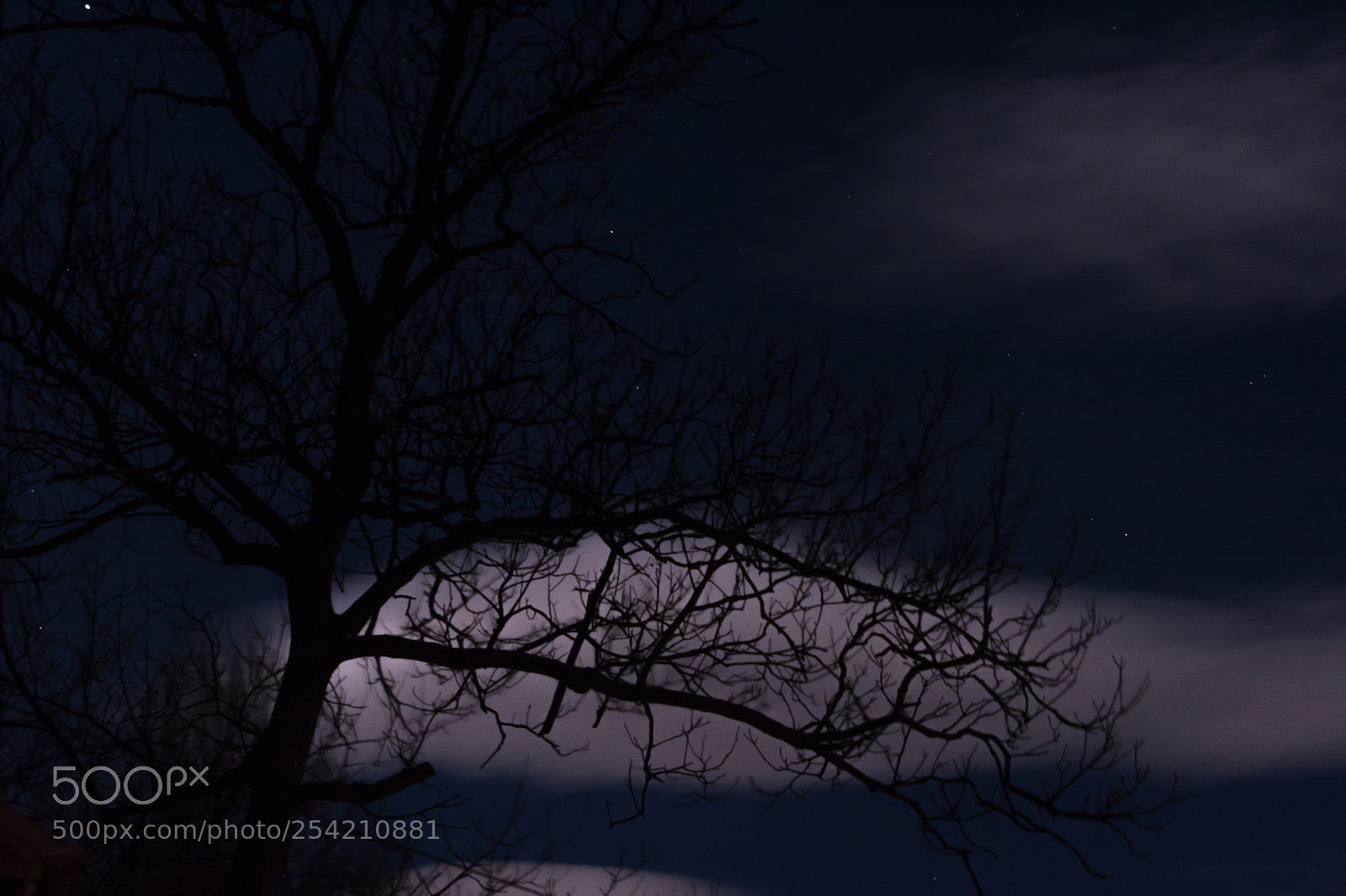 Nikon D5200 sample photo. Surreal night photography