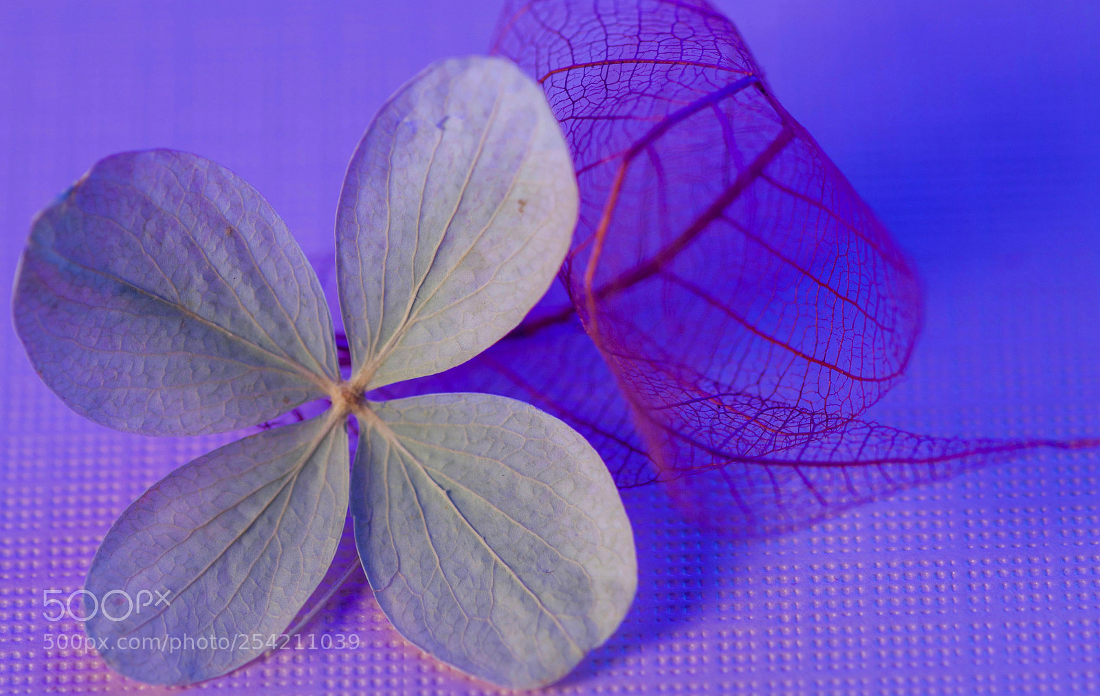 Nikon D3200 sample photo. Change... photography