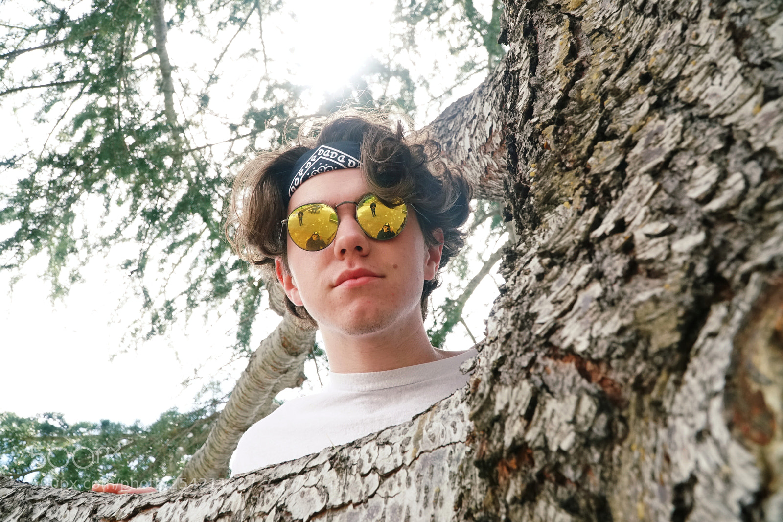 Sony a6500 sample photo. Up in the trees photography