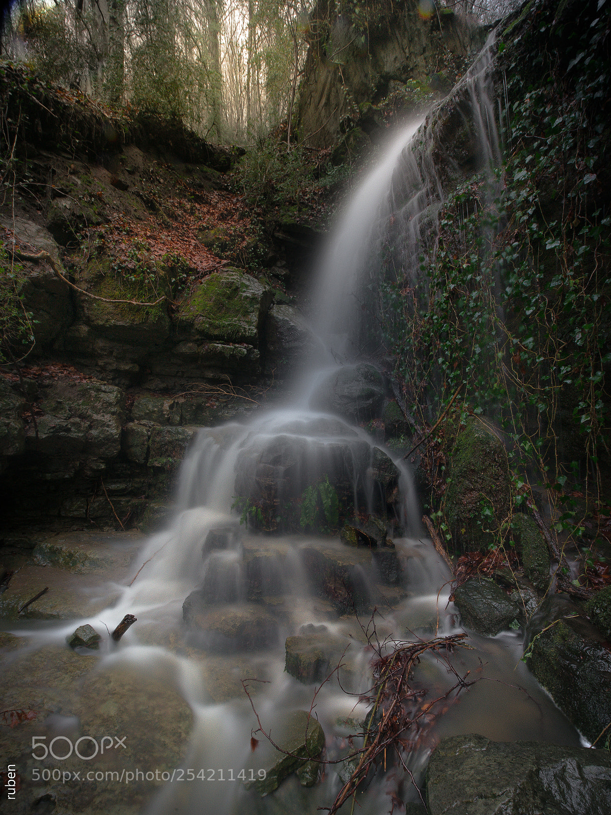 Nikon D610 sample photo. Font de pedra fuente photography