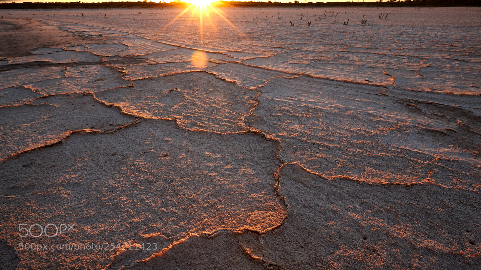 Canon EOS-1Ds Mark III sample photo. Sunset over salt lake photography