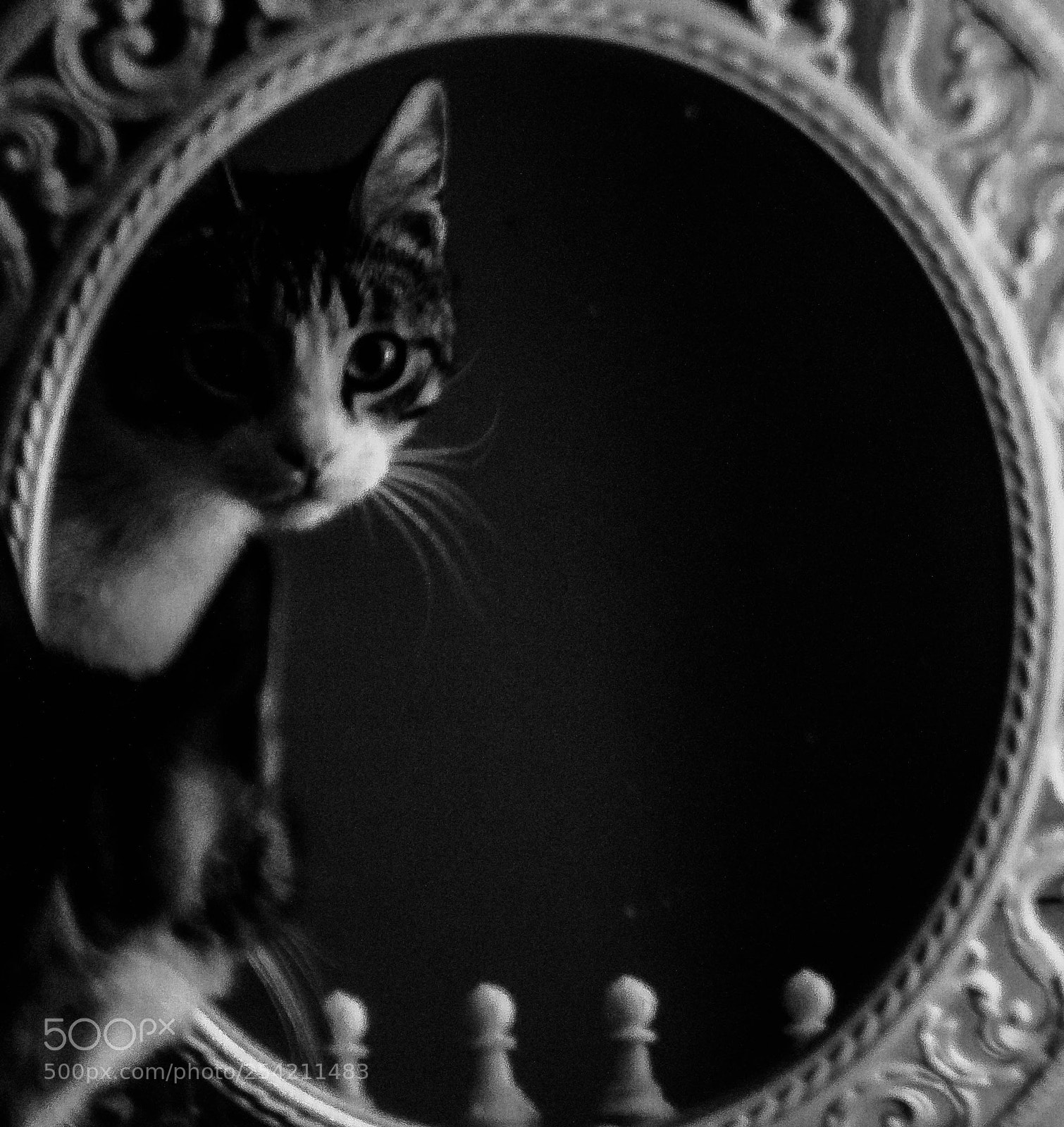 Canon EOS 500D (EOS Rebel T1i / EOS Kiss X3) sample photo. Chess queen photography