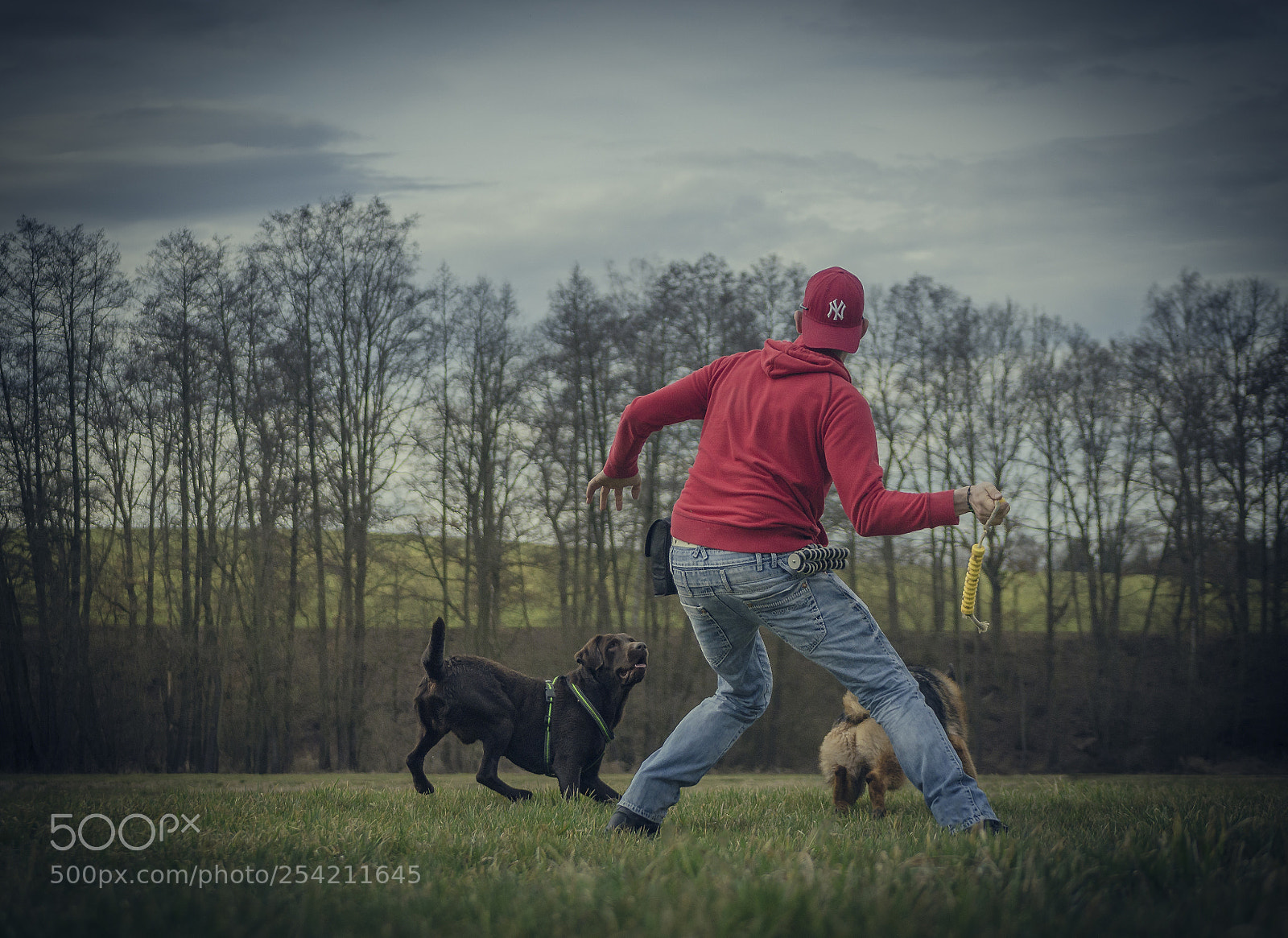 Nikon D7000 sample photo. Action game photography