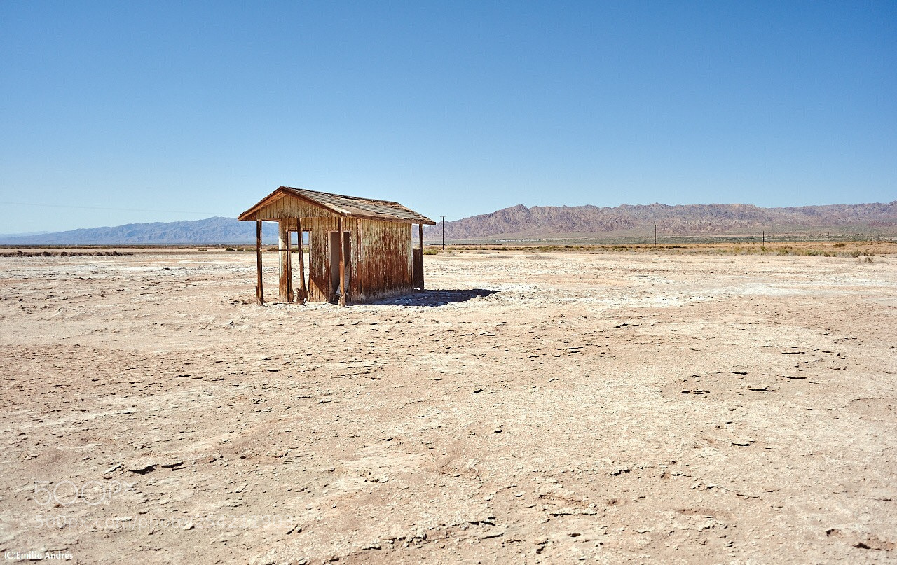 Nikon D700 sample photo. Desierto mojave photography