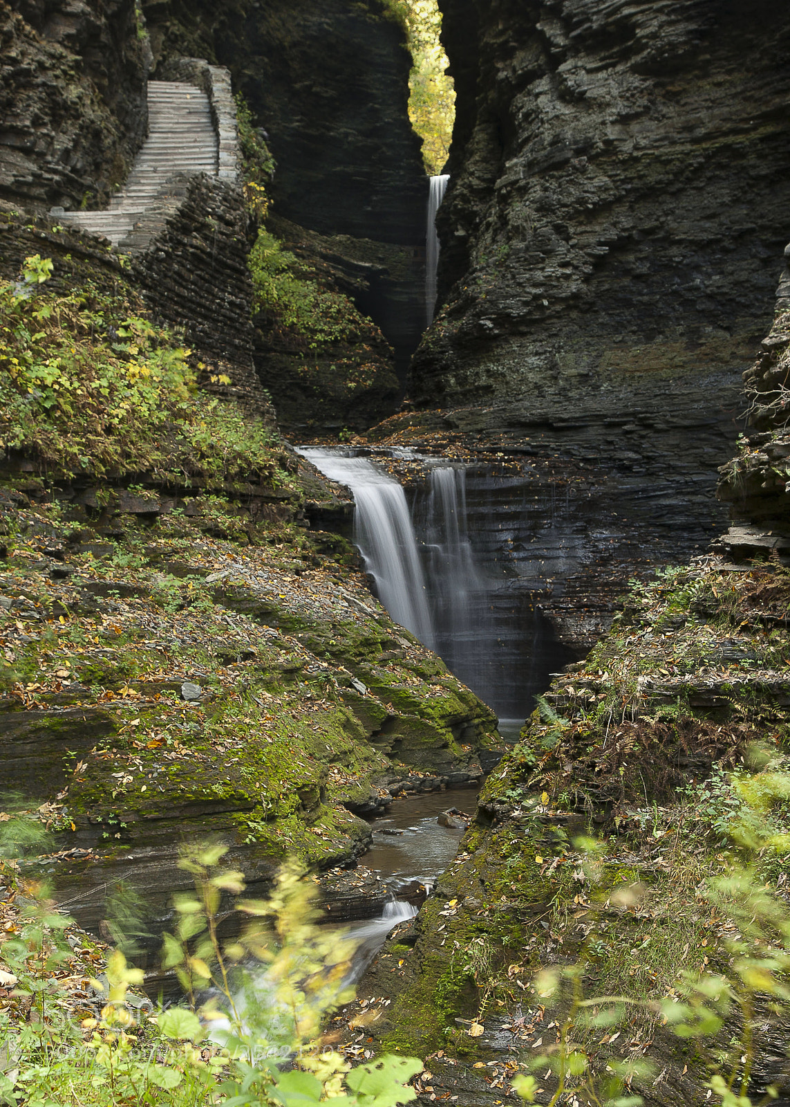 Canon EOS-1D Mark III sample photo. Watkinsglenmostfav photography