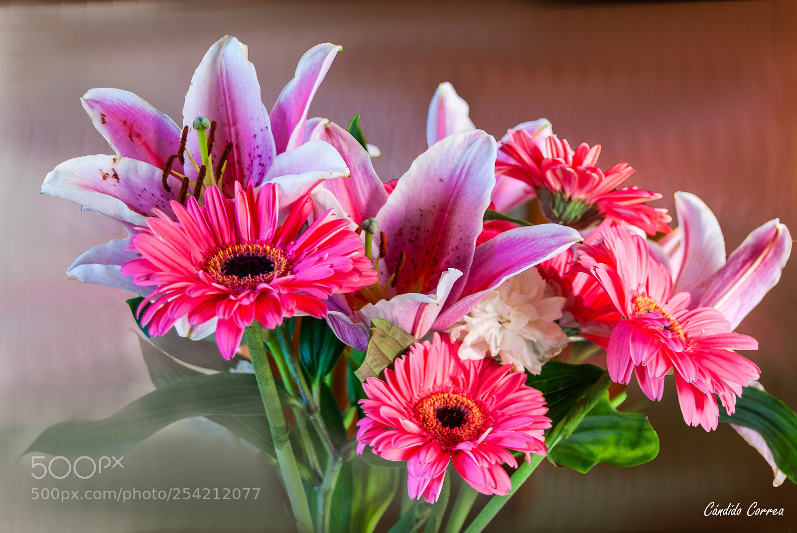Nikon D3000 sample photo. Ramo de flores photography