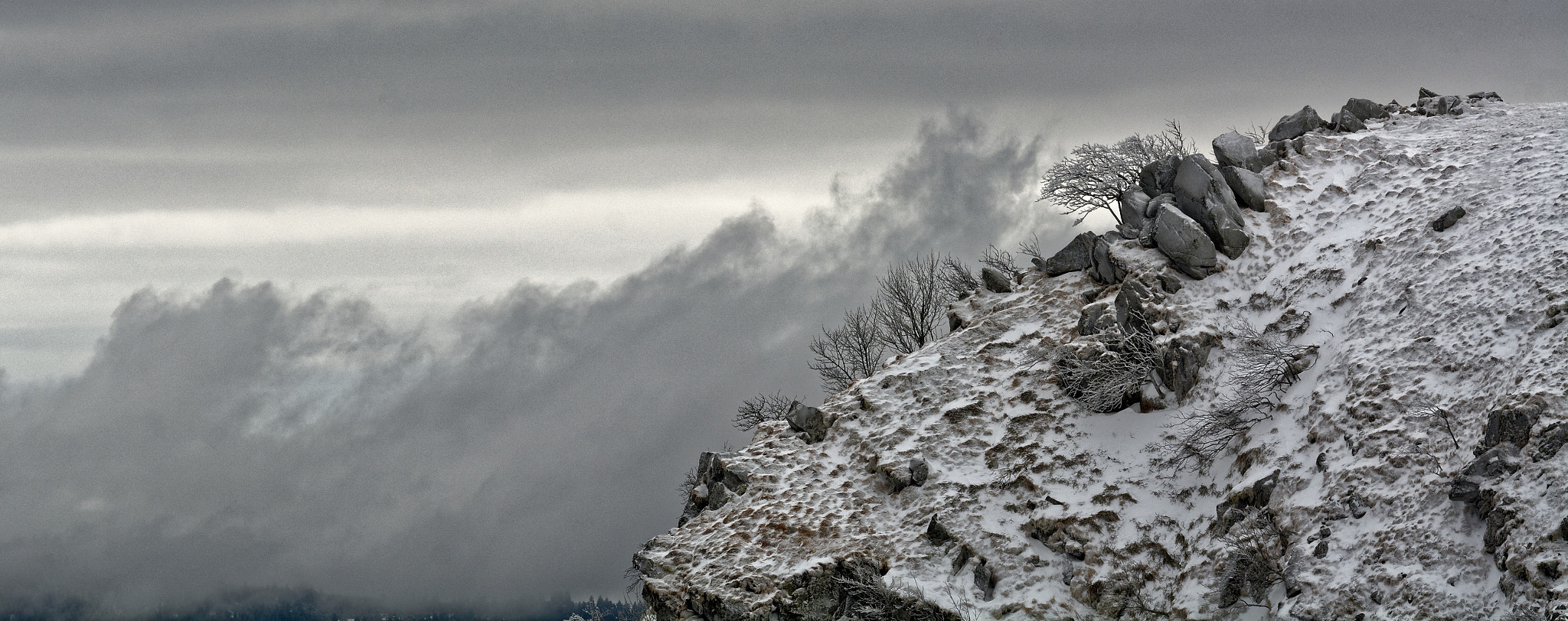 Nikon D7100 sample photo. Sur la brêche... photography