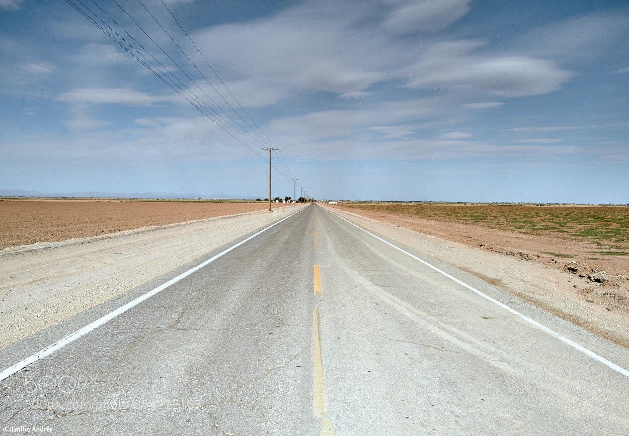 Nikon D700 sample photo. Road  photography
