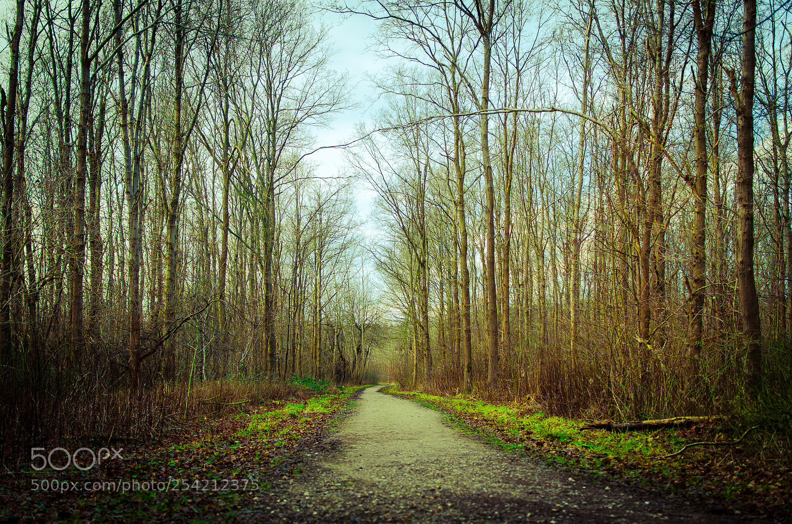 Nikon D7000 sample photo. Untitled photography