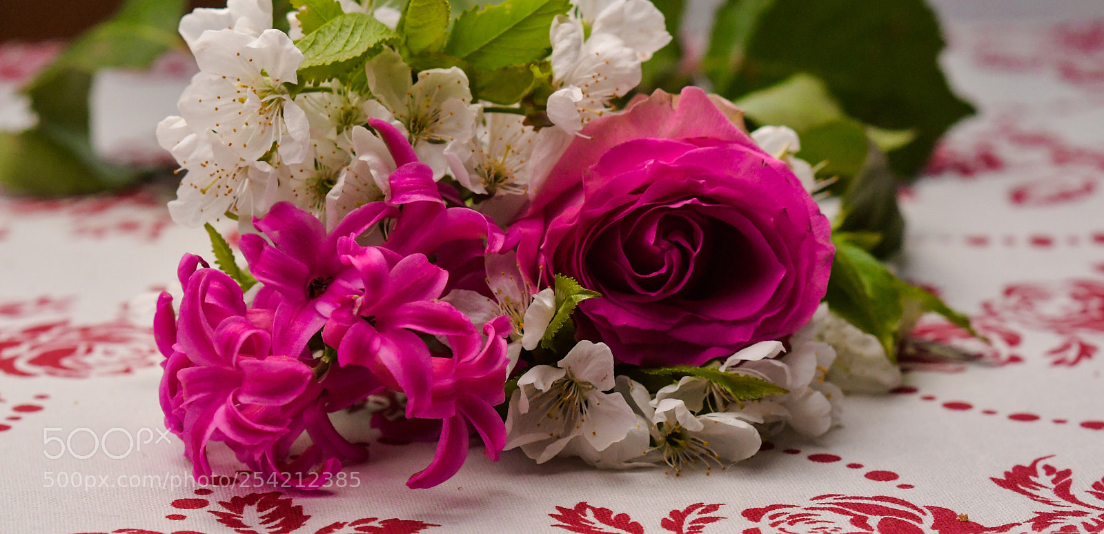 Nikon D7500 sample photo. Untitled photography
