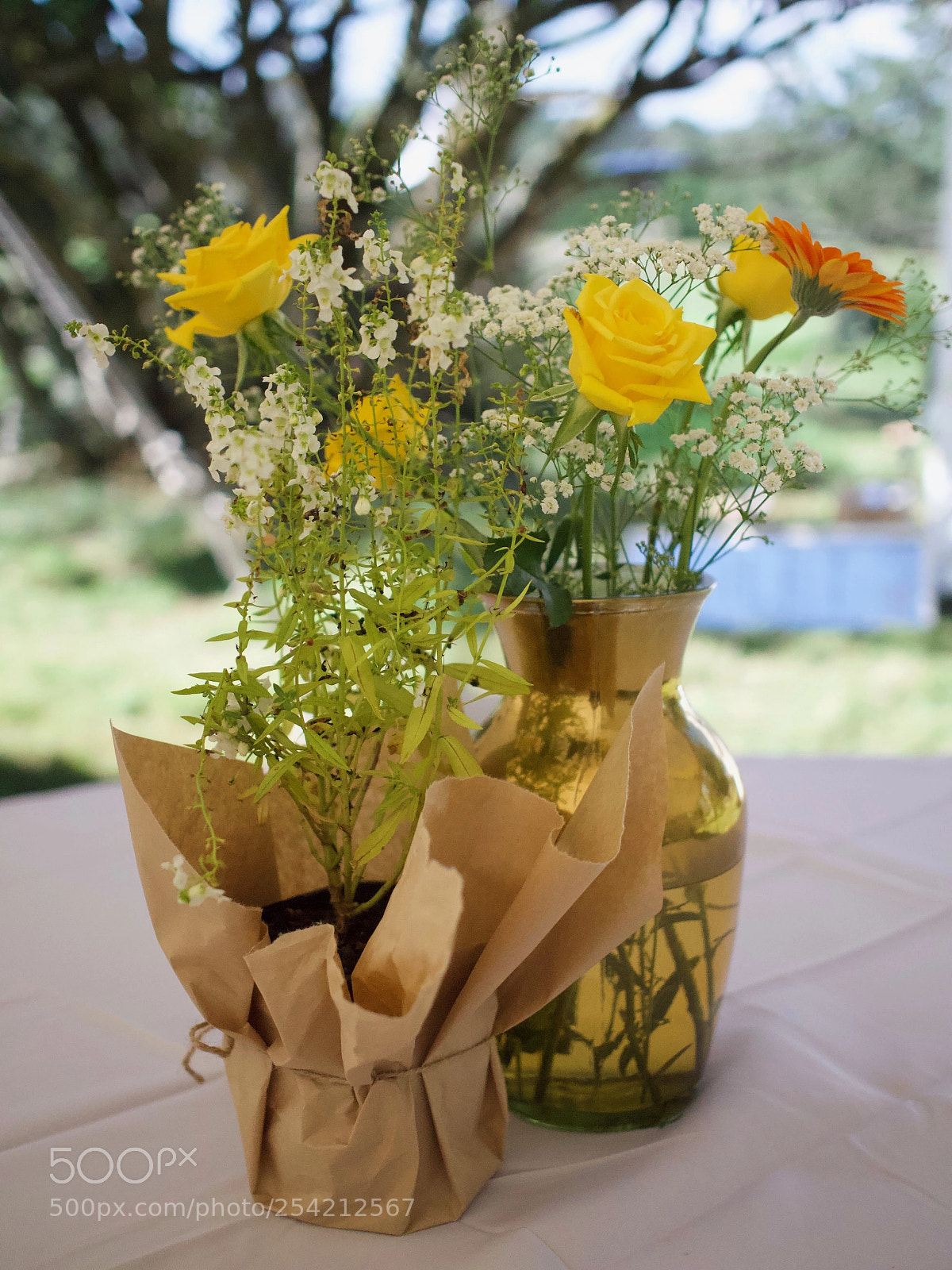 Panasonic Lumix DMC-GH4 sample photo. Flowers photography