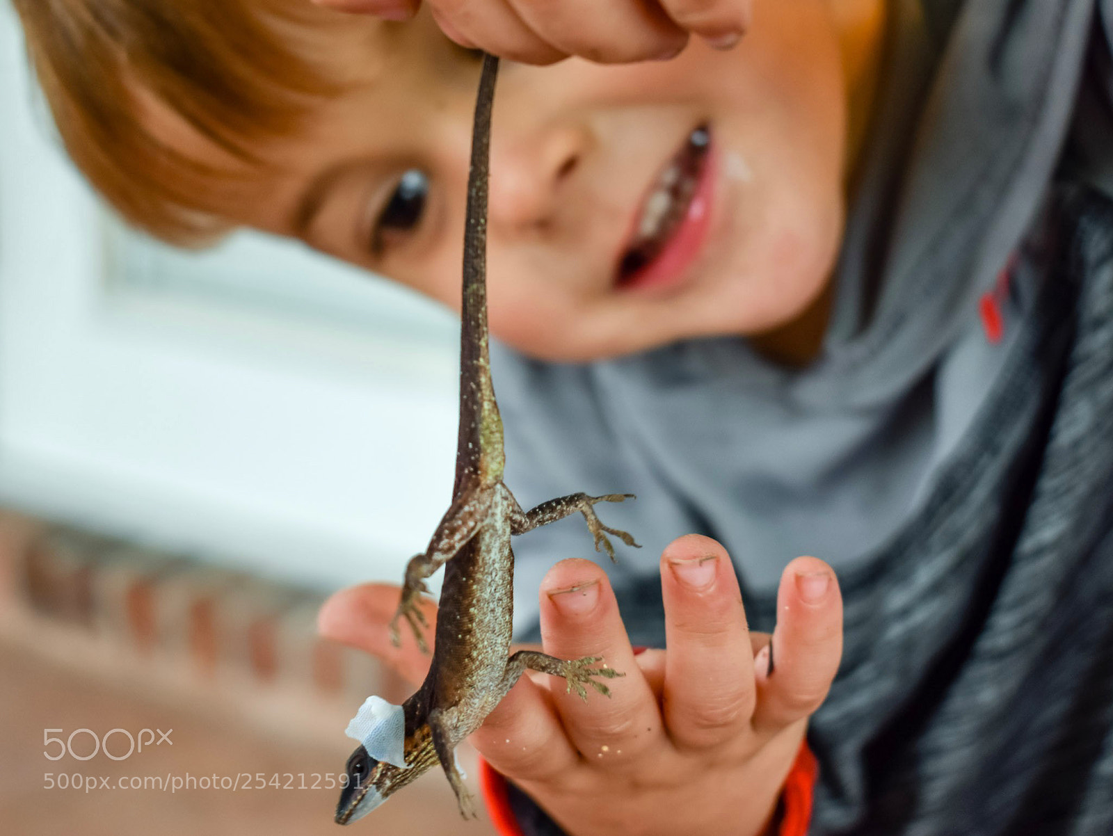 Nikon D5500 sample photo. Curious kid photography