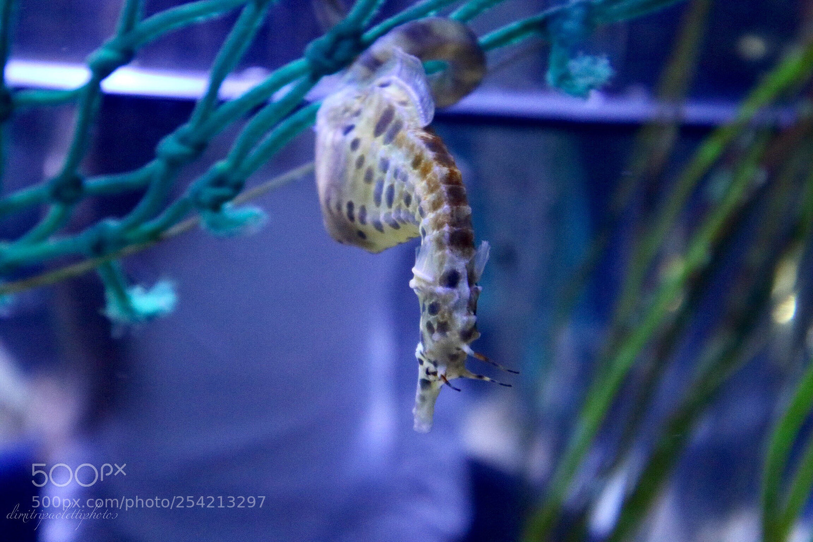 Canon EOS M3 sample photo. Up and down photography