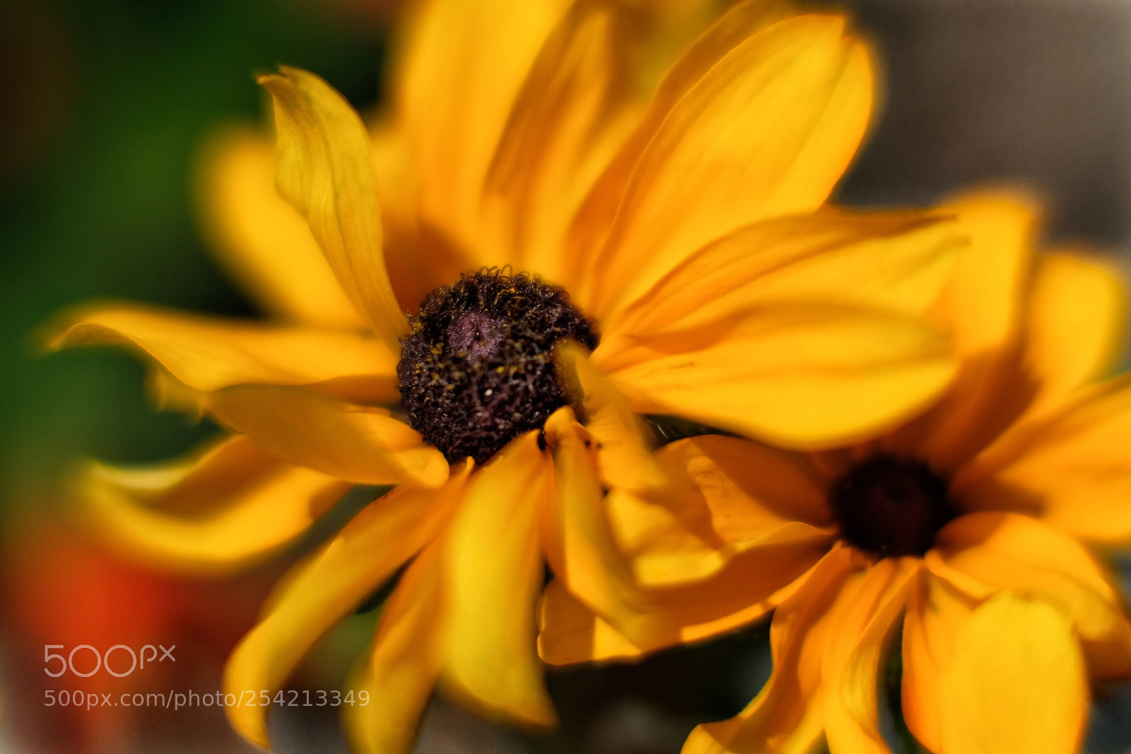 Fujifilm X-T20 sample photo. A little sun in photography