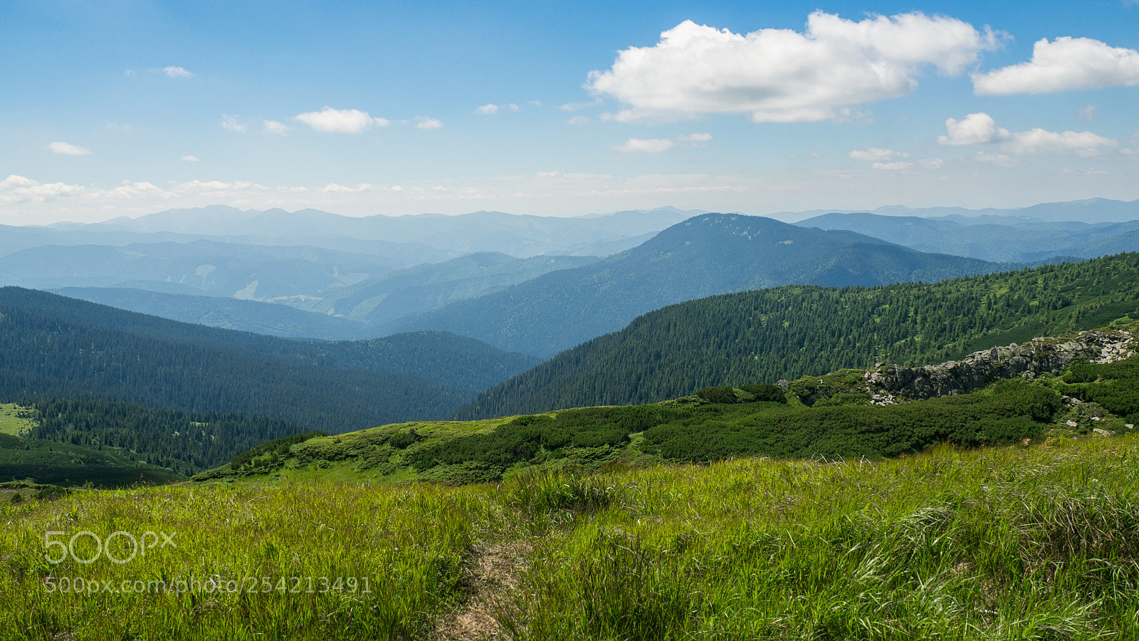 Olympus OM-D E-M10 sample photo. Summer mountains, green grass photography