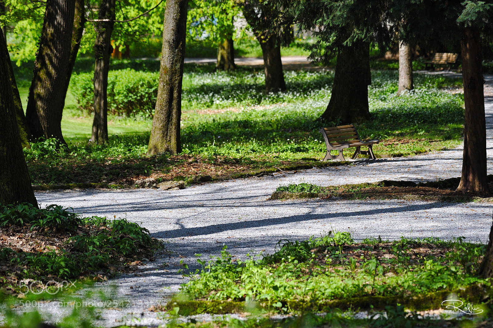 Nikon D3 sample photo. Monza park photography