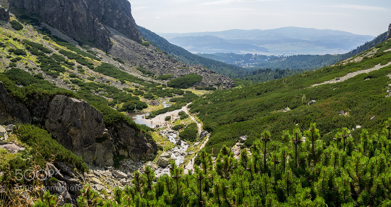 Olympus OM-D E-M10 sample photo. Summer mountains, green grass photography
