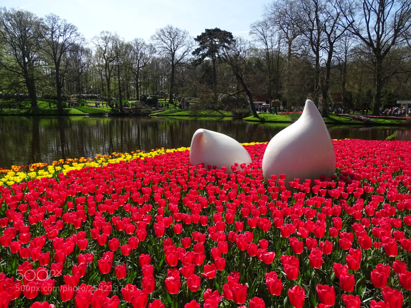 Sony Cyber-shot DSC-HX400V sample photo. Keukenhof photography