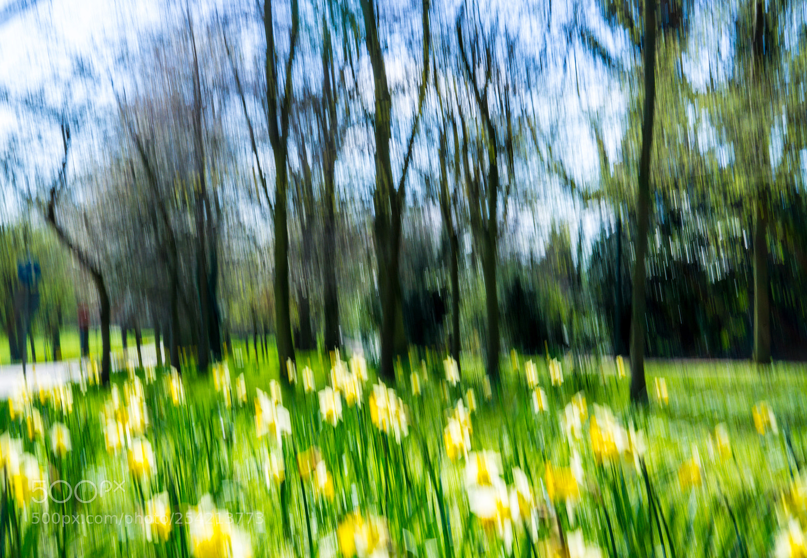 Sony a6000 sample photo. Abstractdaffs (of ) photography