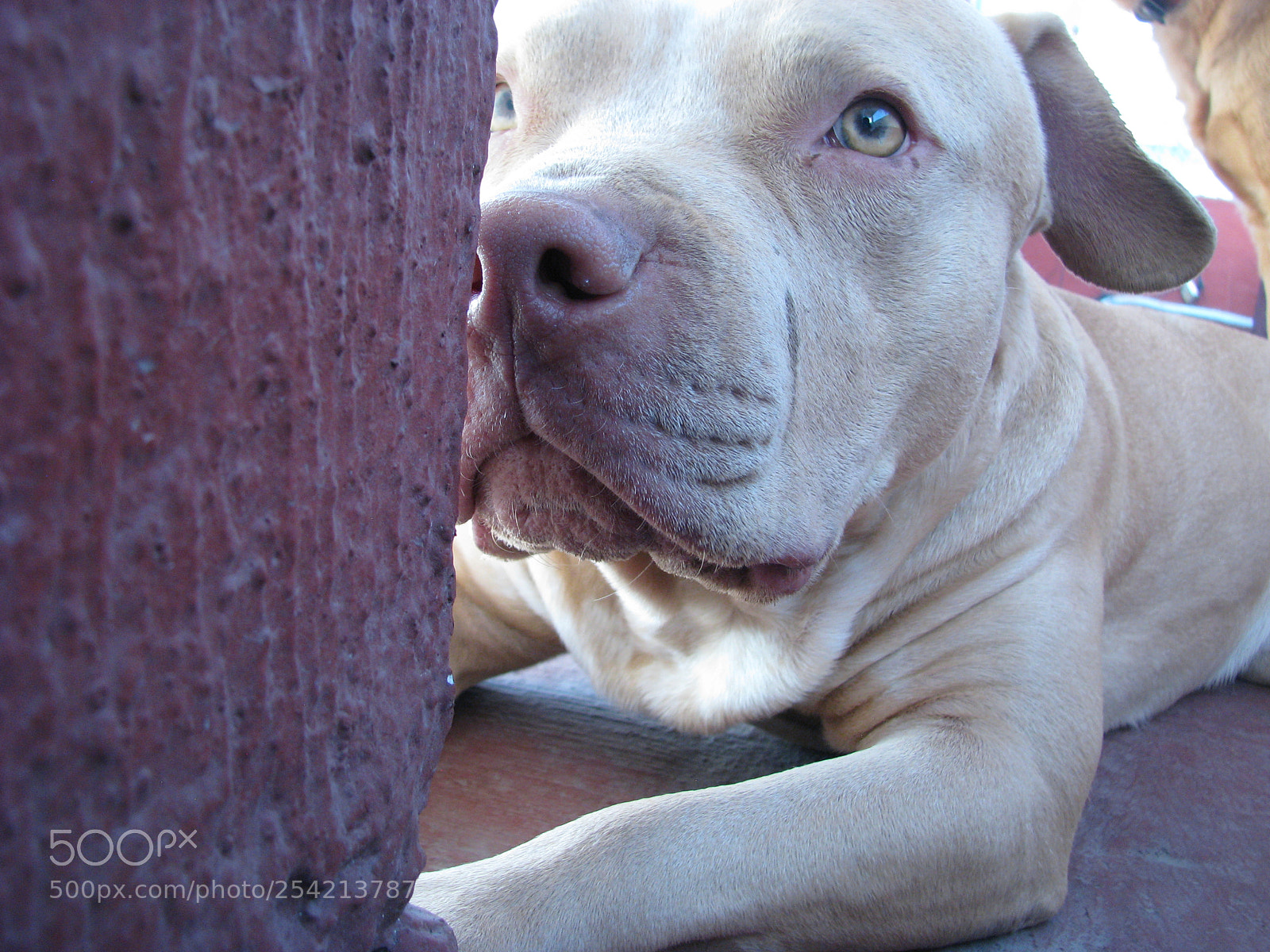 Canon POWERSHOT S5 IS sample photo. Curiosidad photography